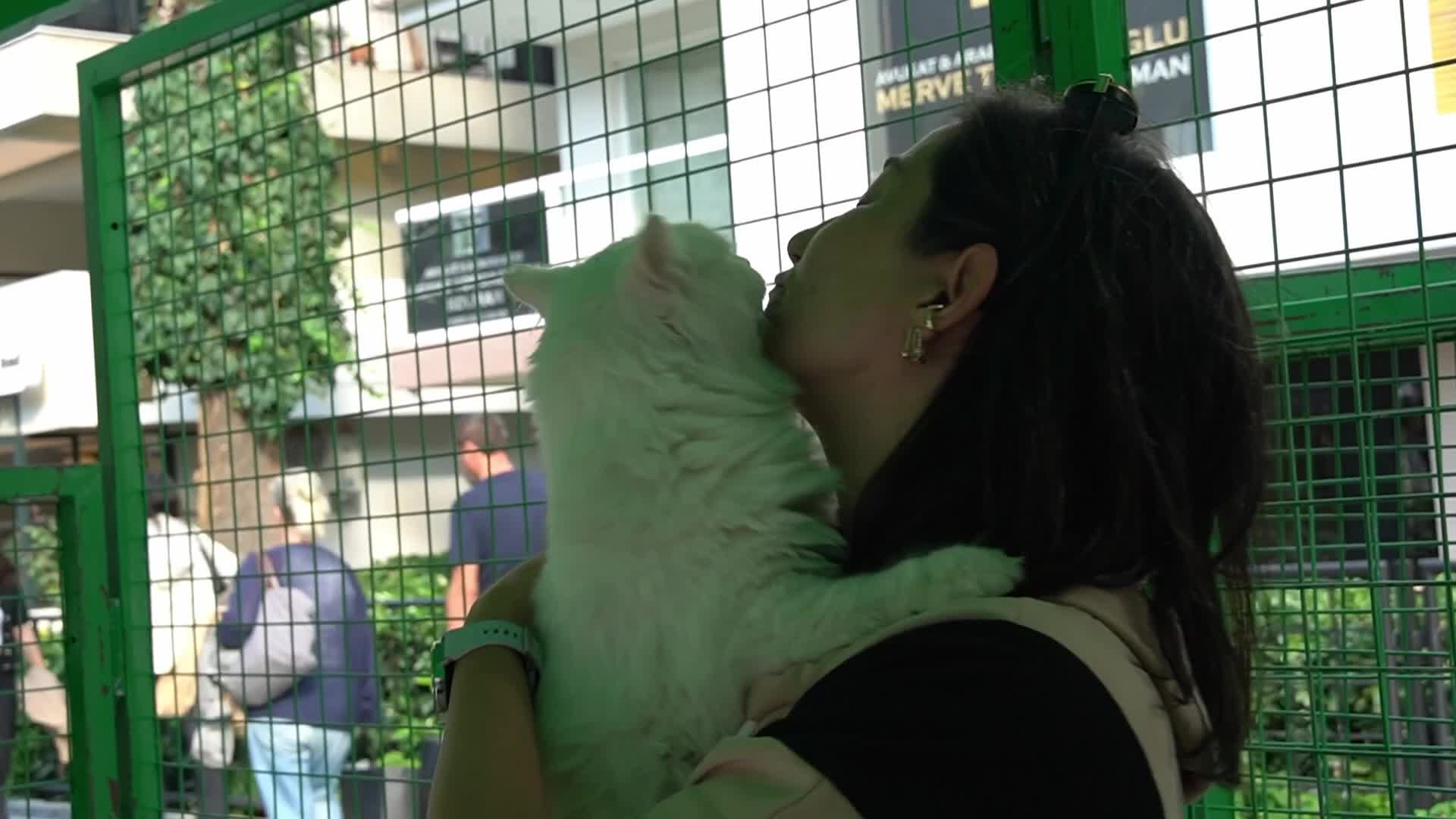 Paws Festival: Pet Contests and Adoption Event