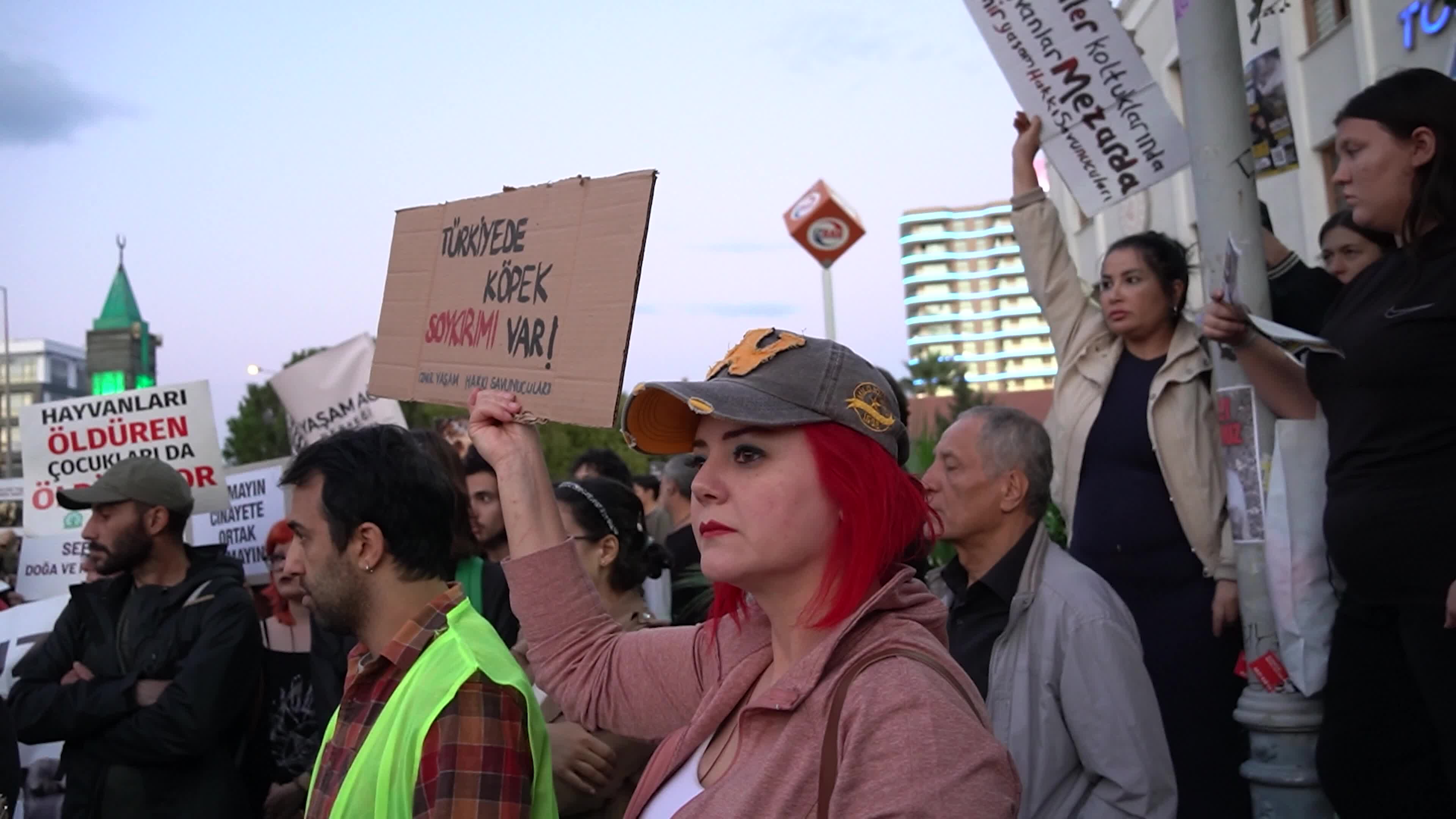 Animal rights advocates march against the stray animal law on World Animal Day