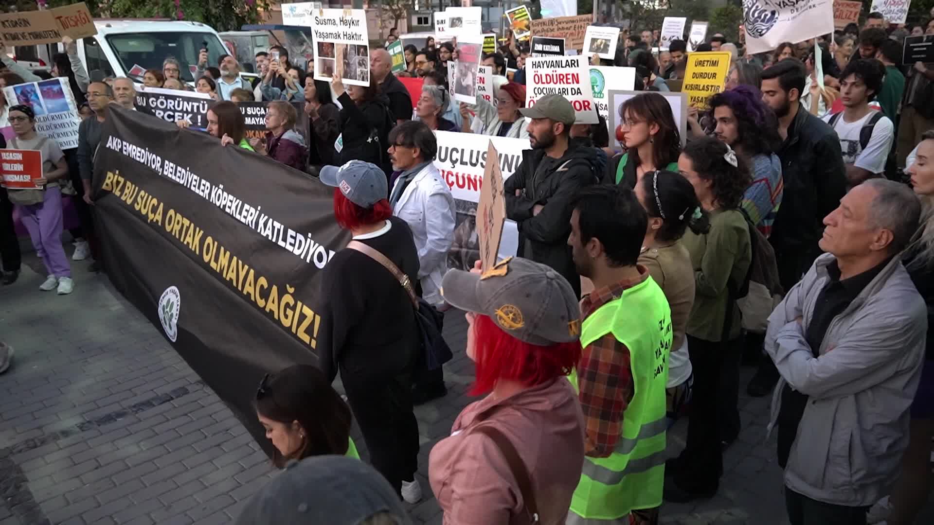 Animal rights advocates march against the stray animal law on World Animal Day, Izmir, Turkey - 04 Oct 2026