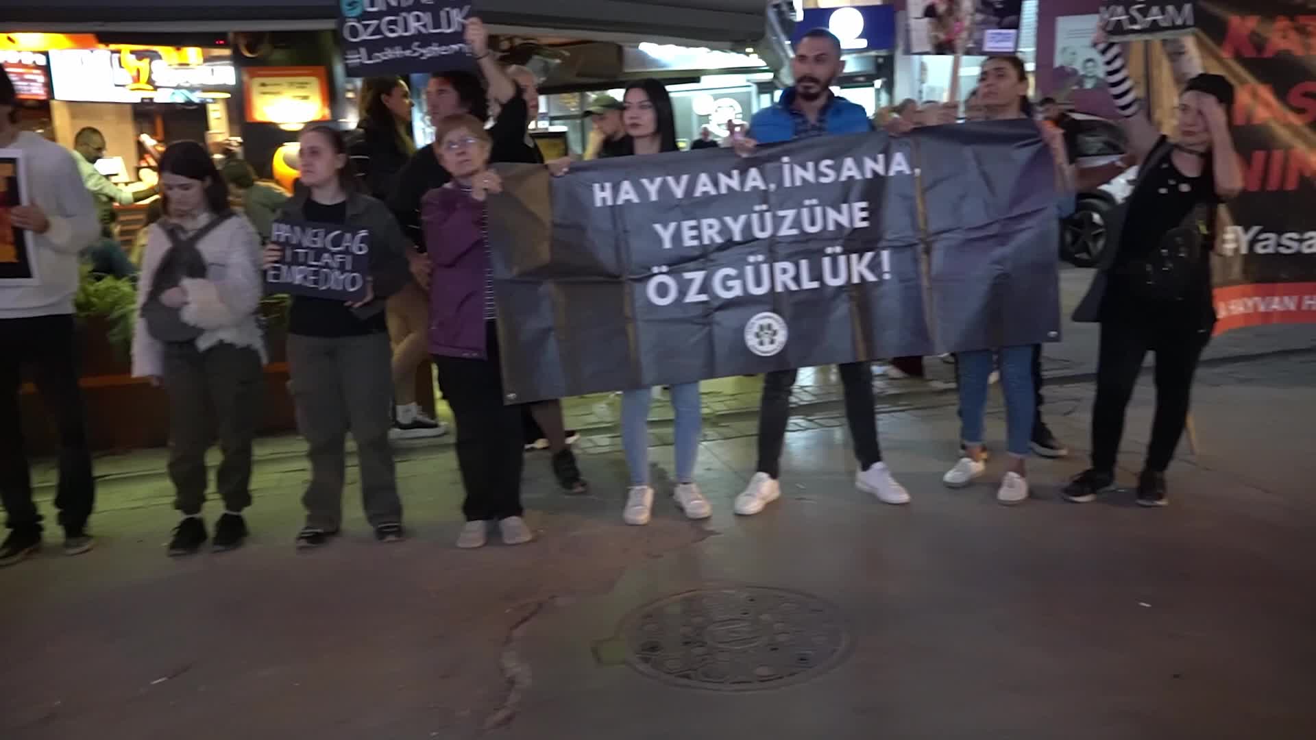 Animal rights advocates march against the stray animal law on World Animal Day, Izmir, Turkey - 04 Oct 2026