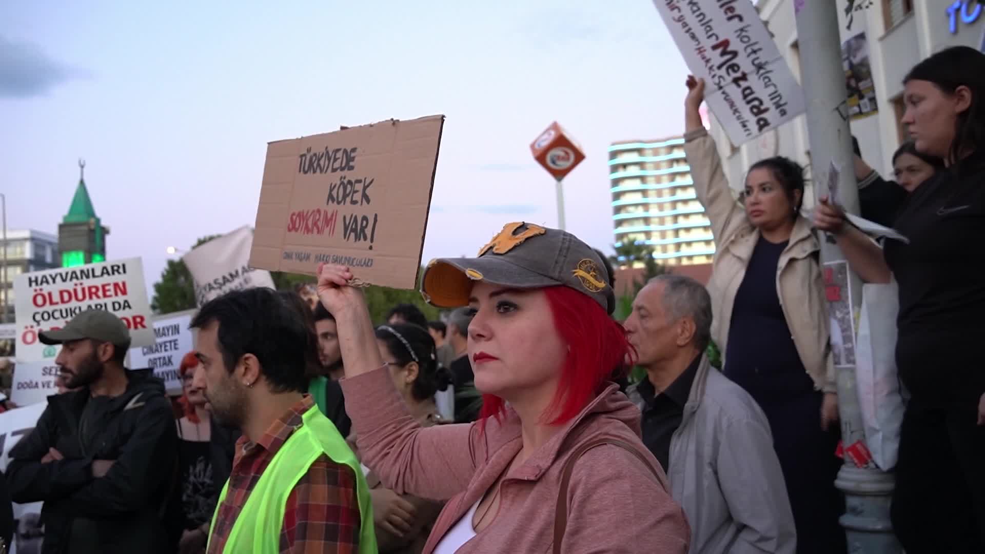 Animal rights advocates march against the stray animal law on World Animal Day, Izmir, Turkey - 04 Oct 2026 - 10/04/2024