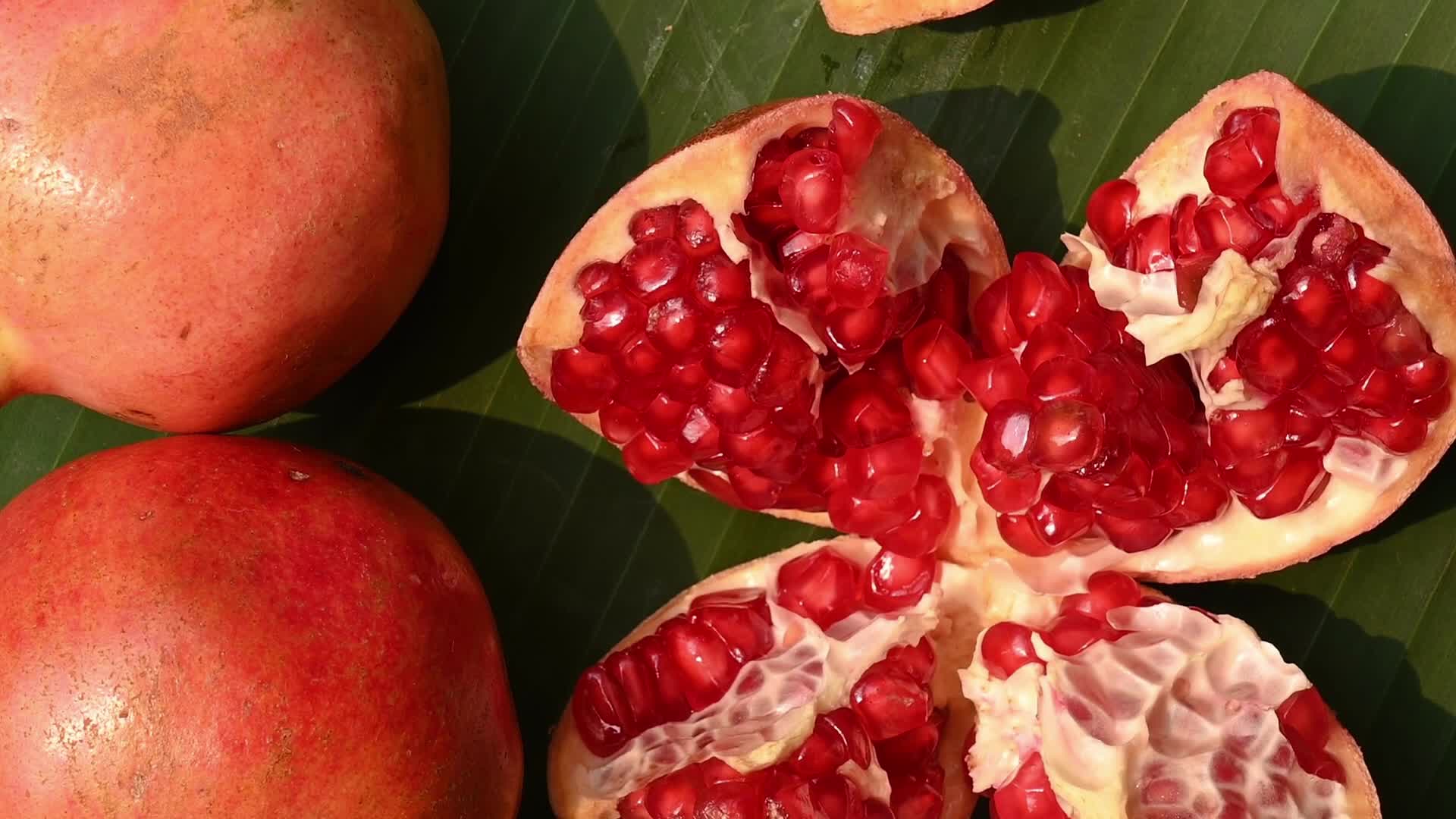 Anar Fruit - Pomegranate - Punica Granatum