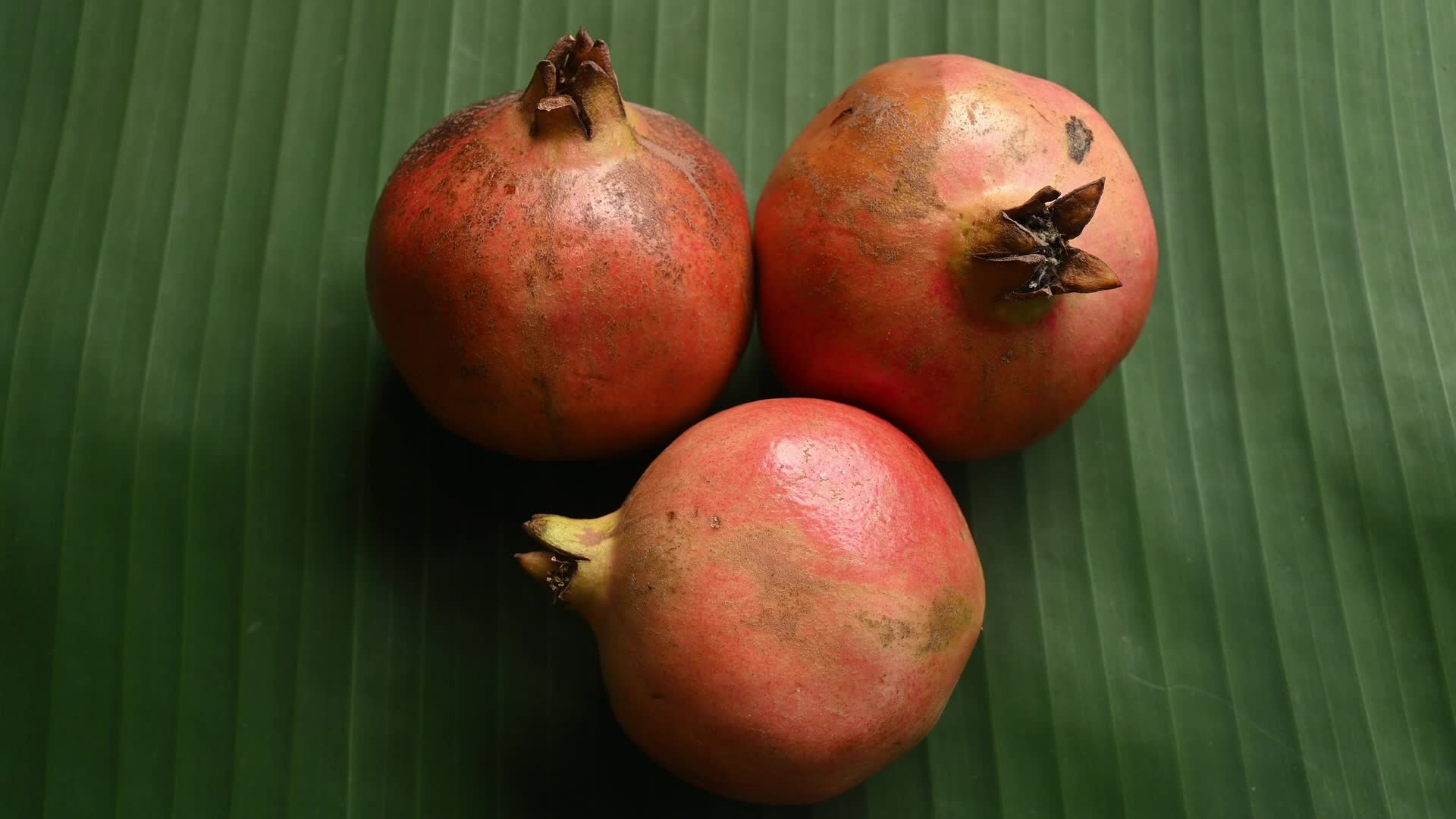 Anar Fruit - Pomegranate - Punica Granatum