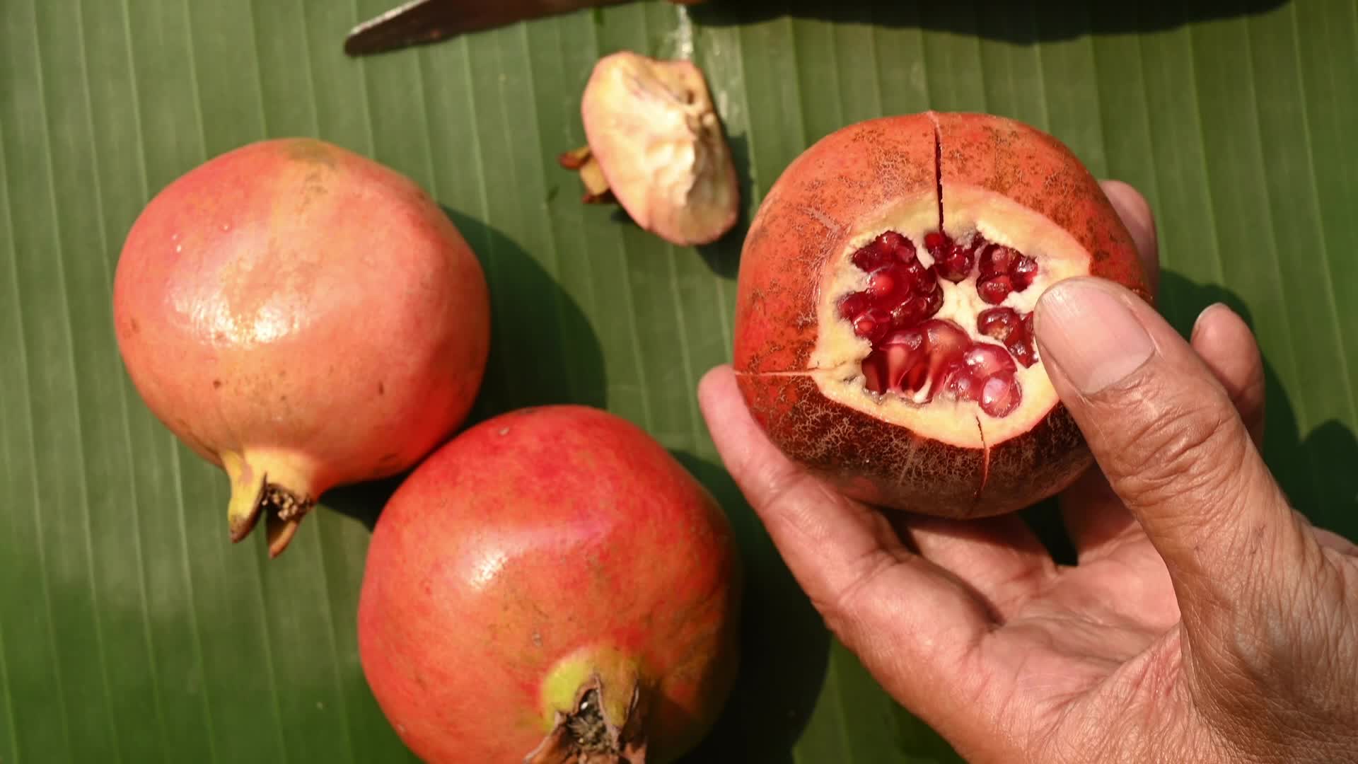Anar Fruit - Pomegranate - Punica Granatum