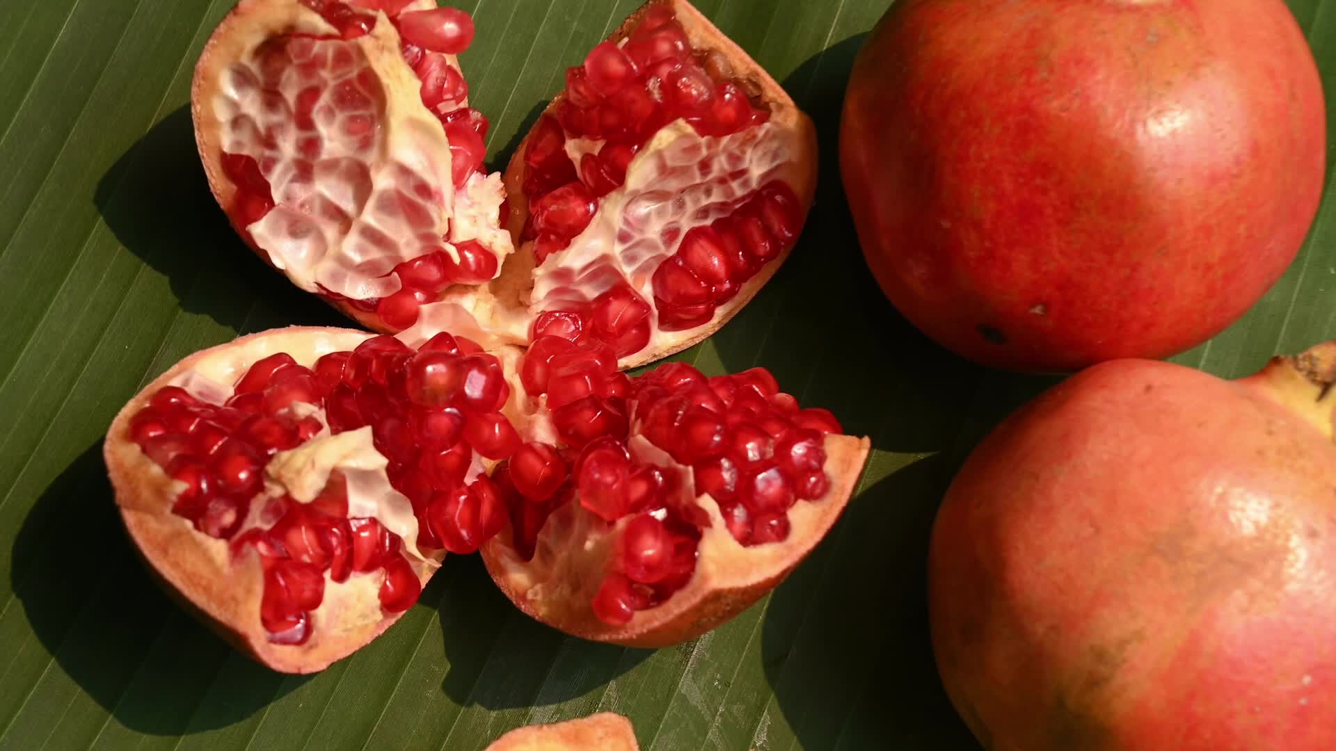Anar Fruit - Pomegranate - Punica Granatum