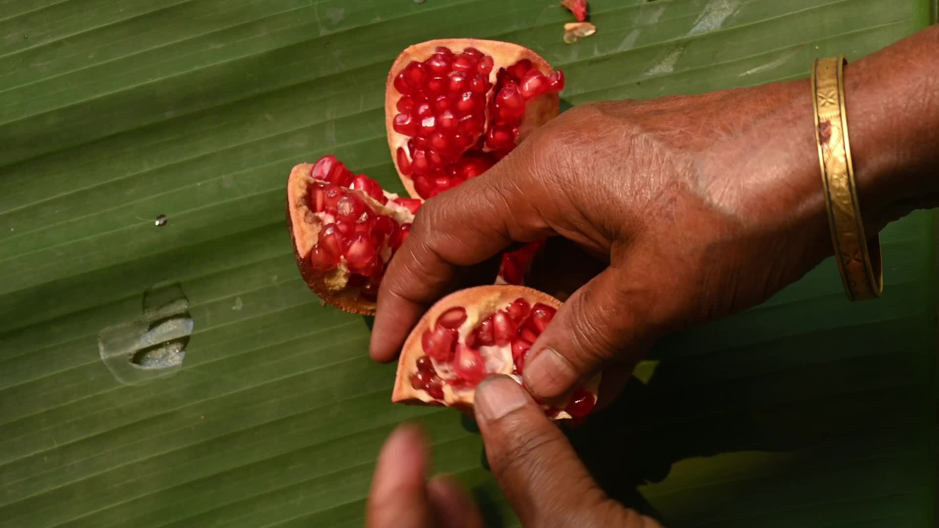 Anar Fruit - Pomegranate - Punica Granatum