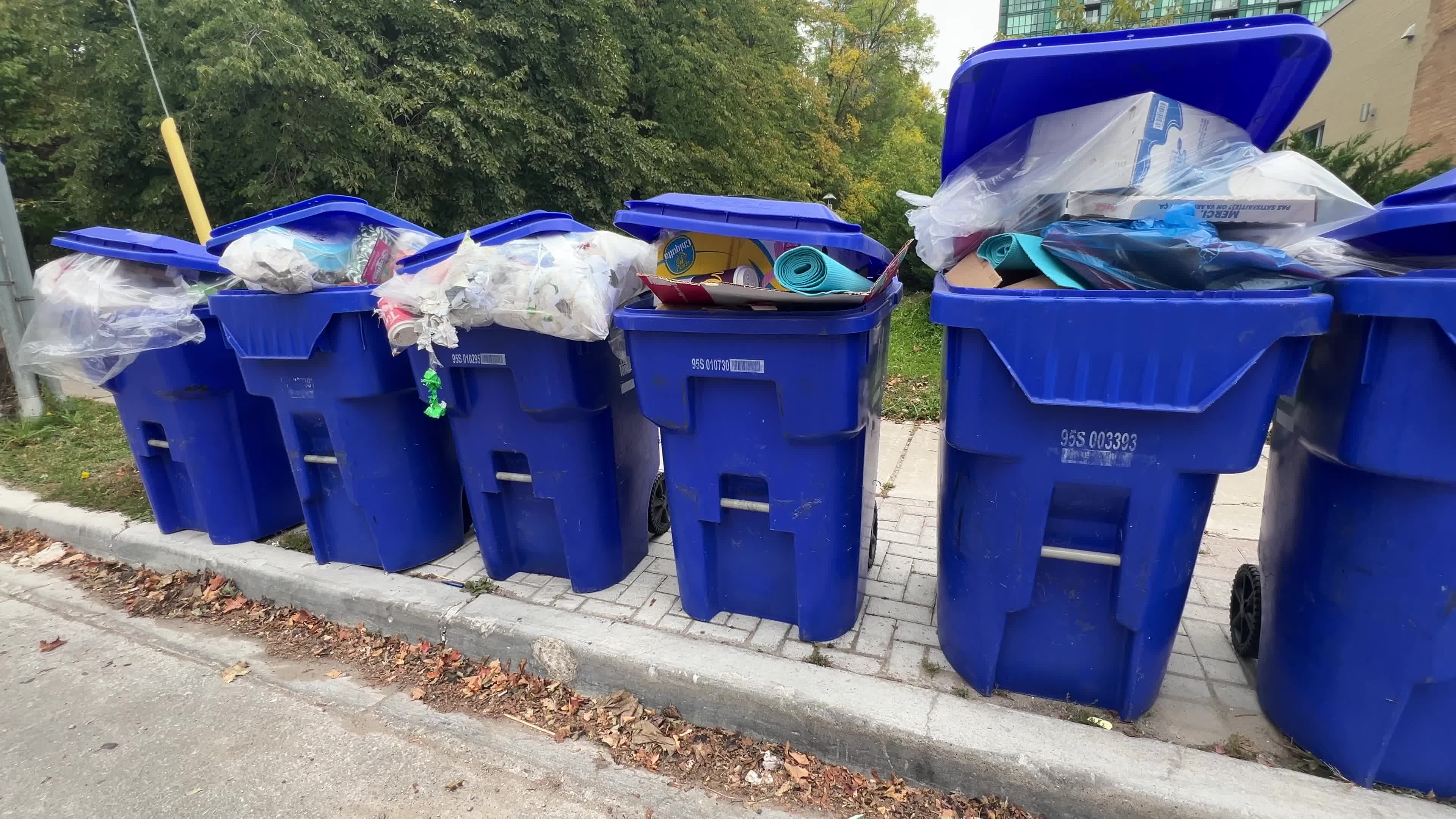 Daily life in Toronto