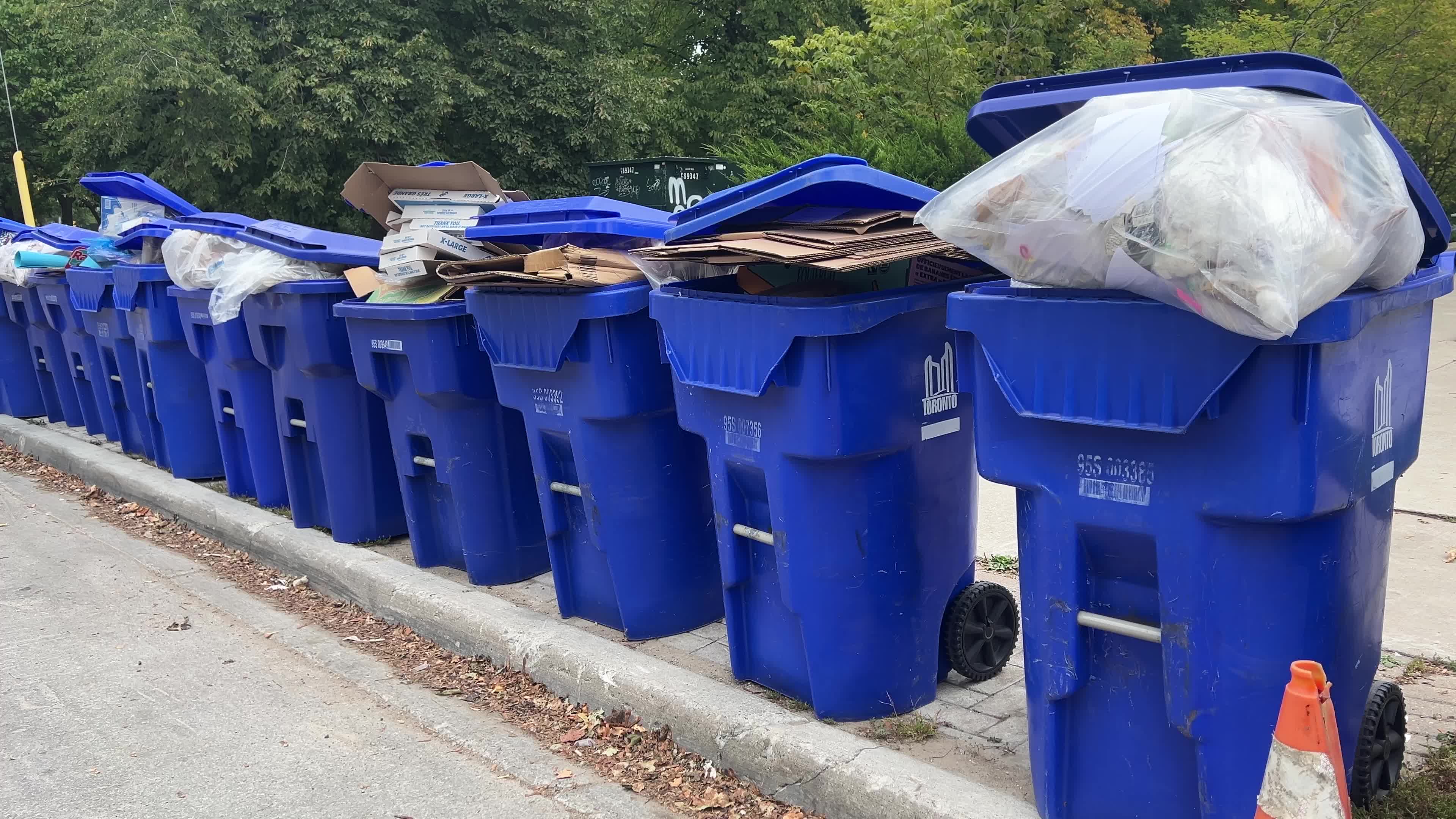 Daily life in Toronto