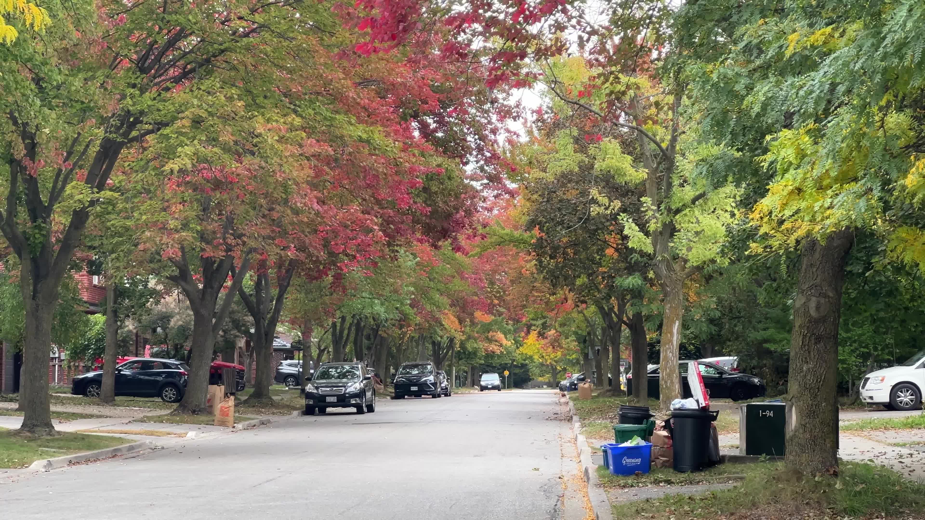 Leaves begin to change color during the autumn in Toronto