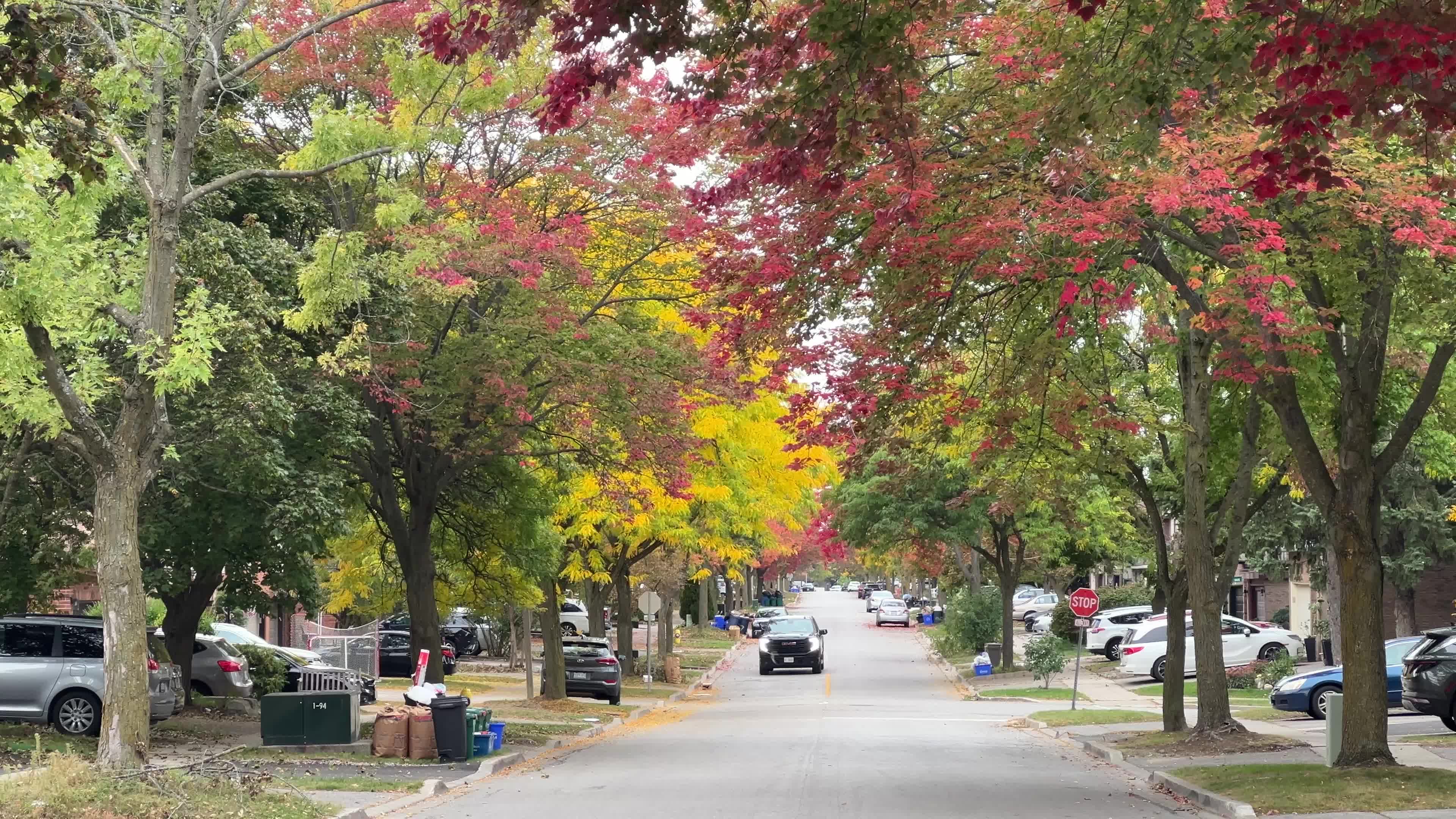 Leaves begin to change color during the autumn in Toronto
