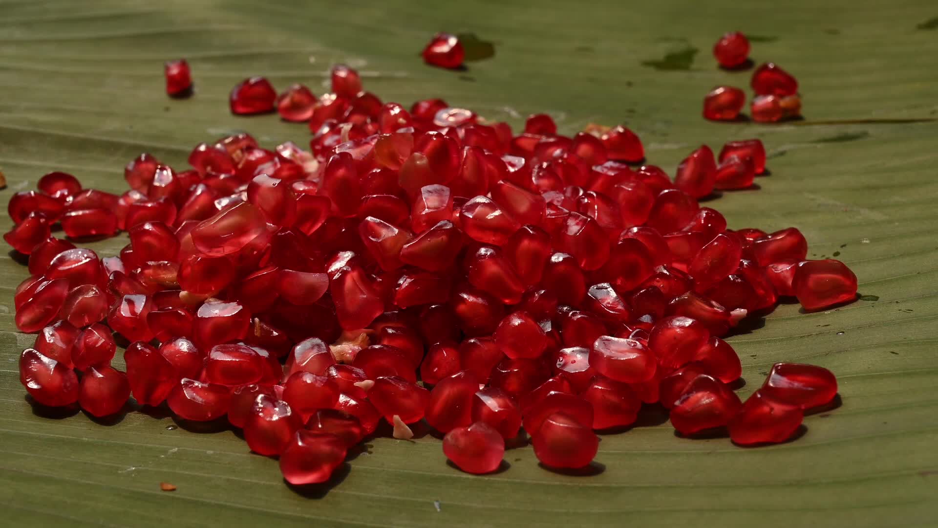 Anar Fruit - Pomegranate - Punica Granatum