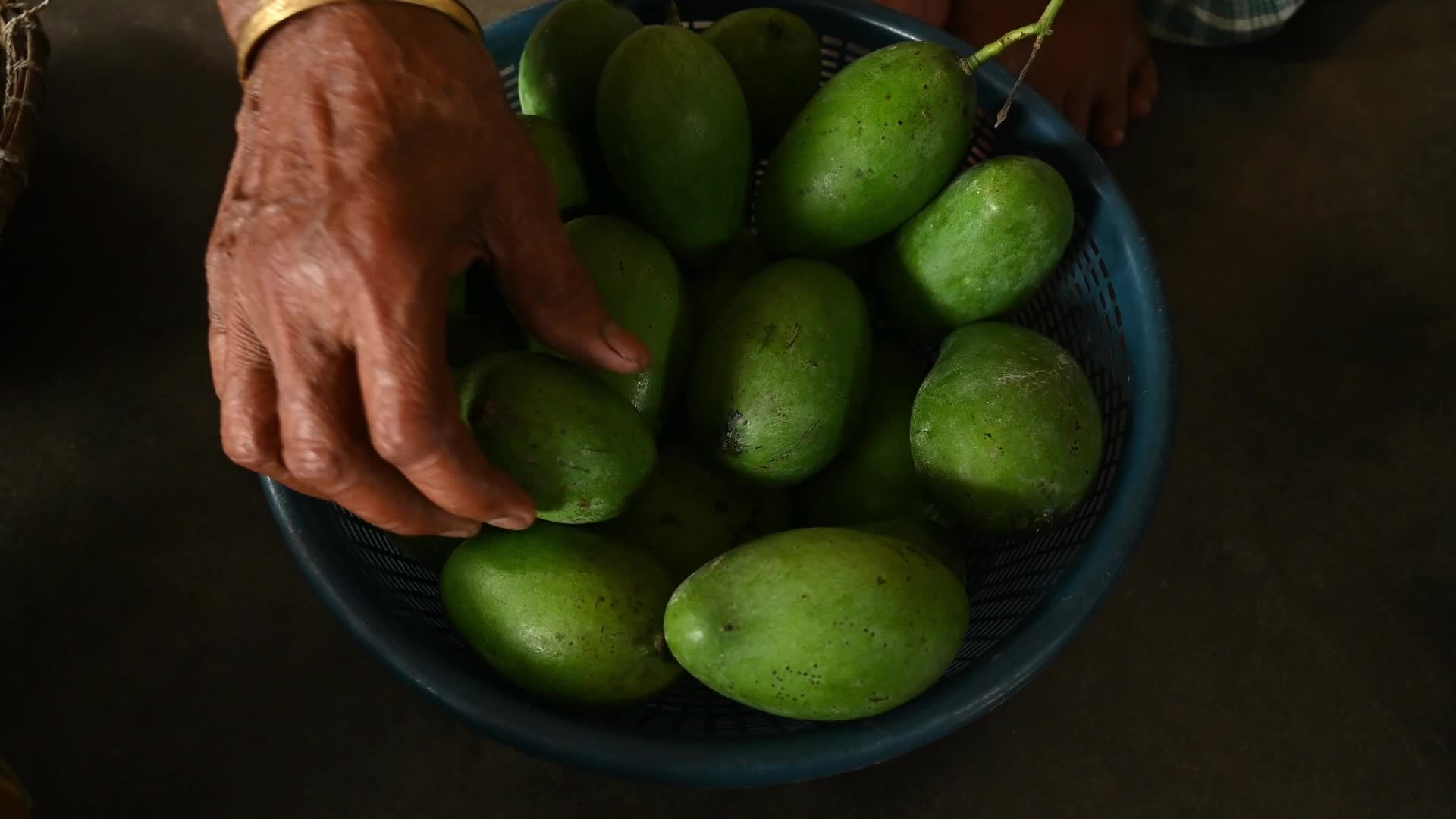 Indian Mango - Mango Export