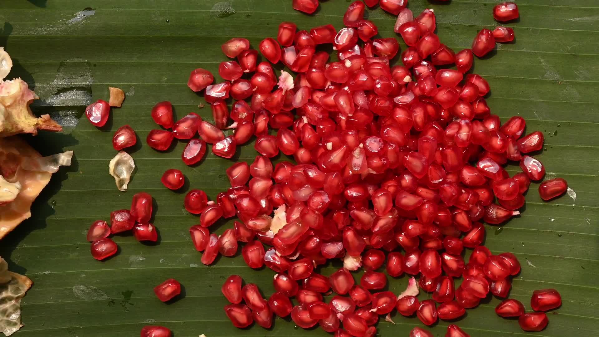 Anar Fruit - Pomegranate - Punica Granatum - 10/06/2026
