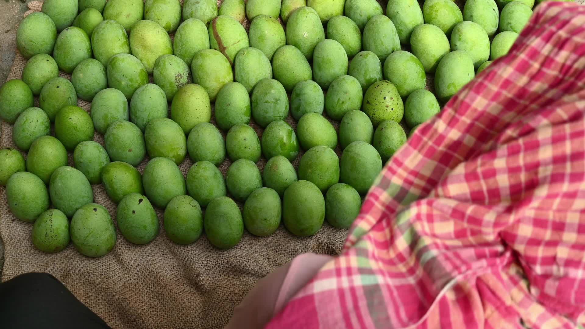 Indian Mango - Mango Export