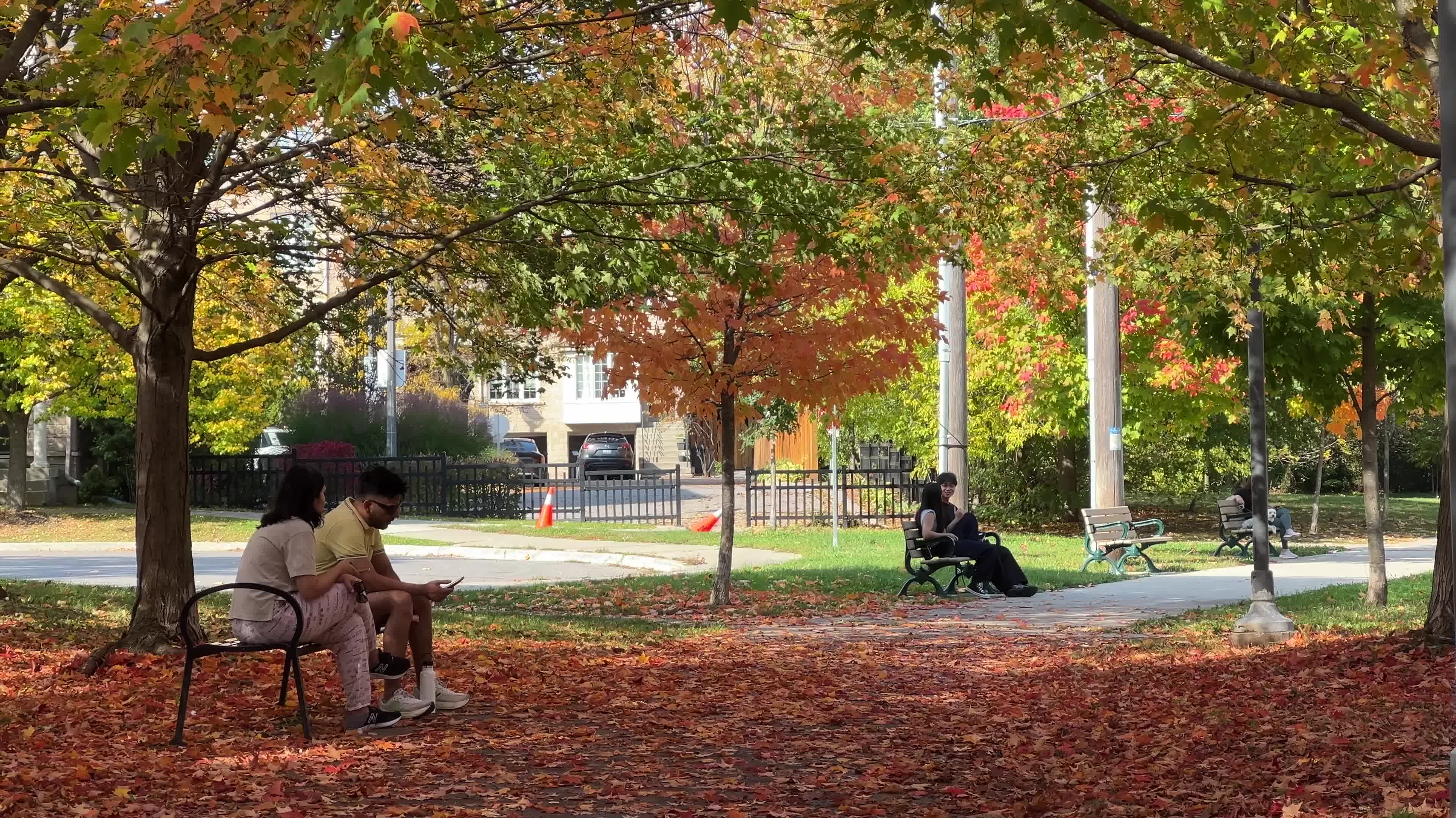 Autumn leaves during a record breaking warm day in Toronto
