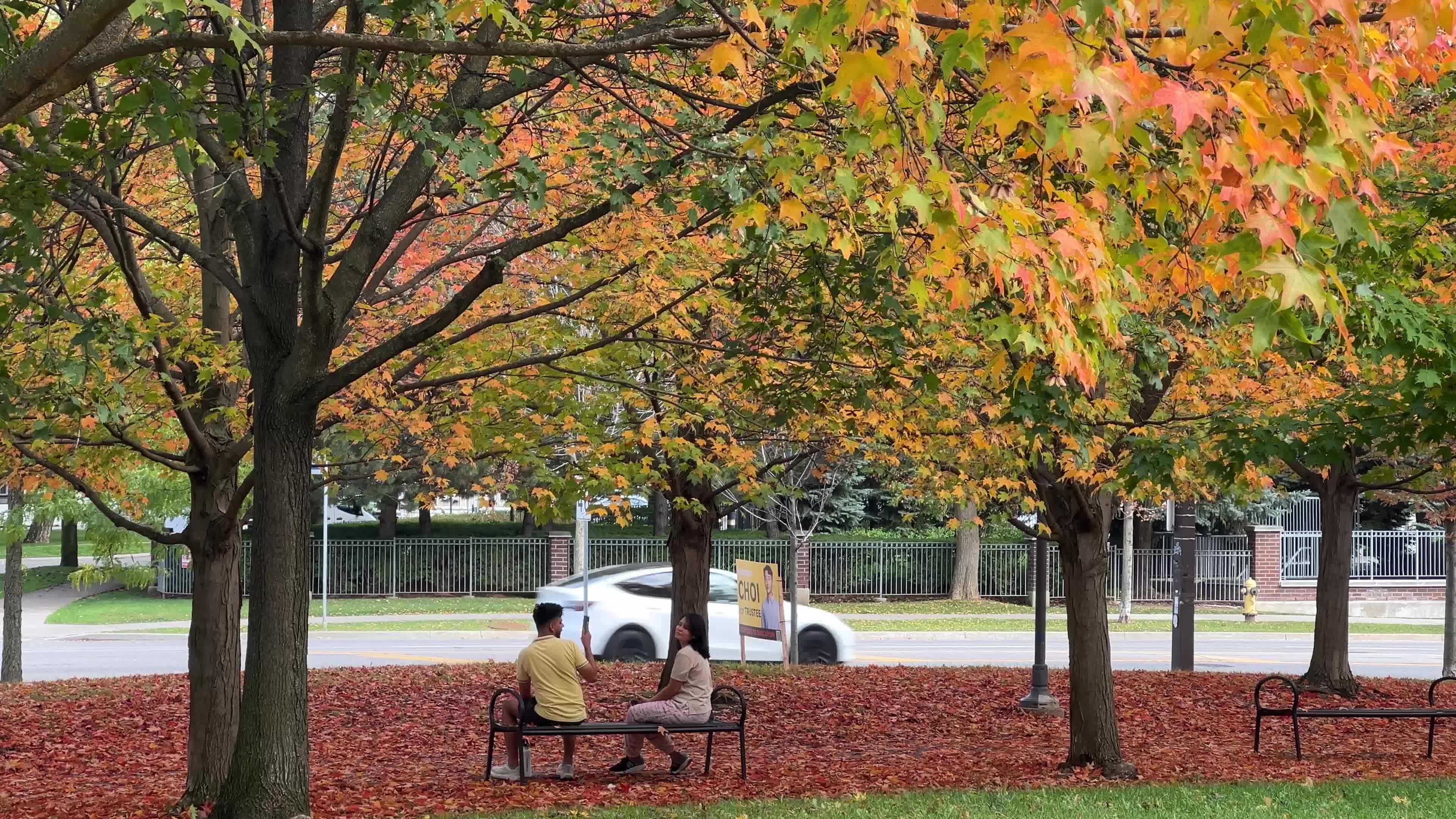 Autumn leaves during a record breaking warm day in Toronto
