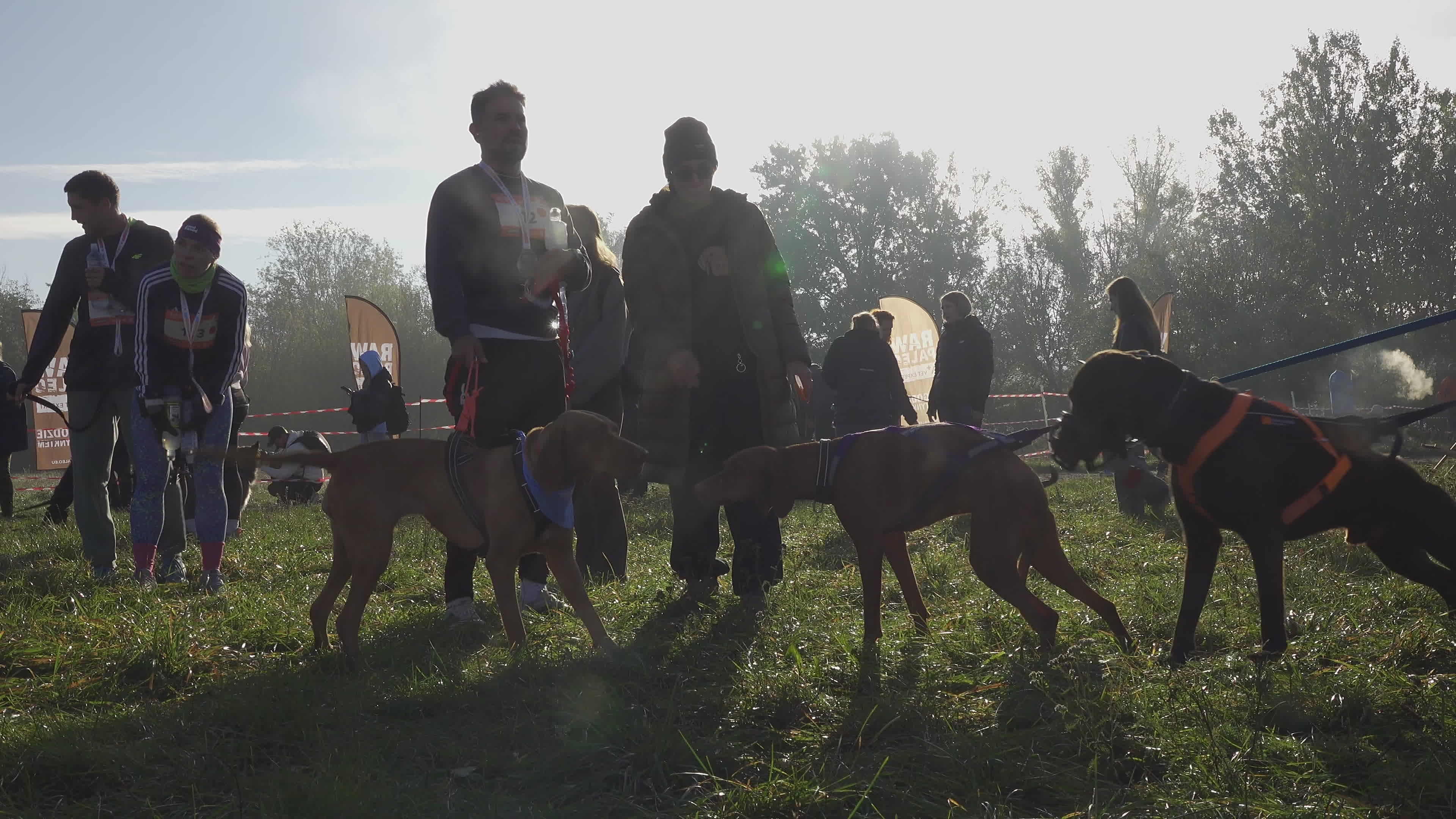 Pet owners run with their dogs in dogtrekking competition in Warsaw