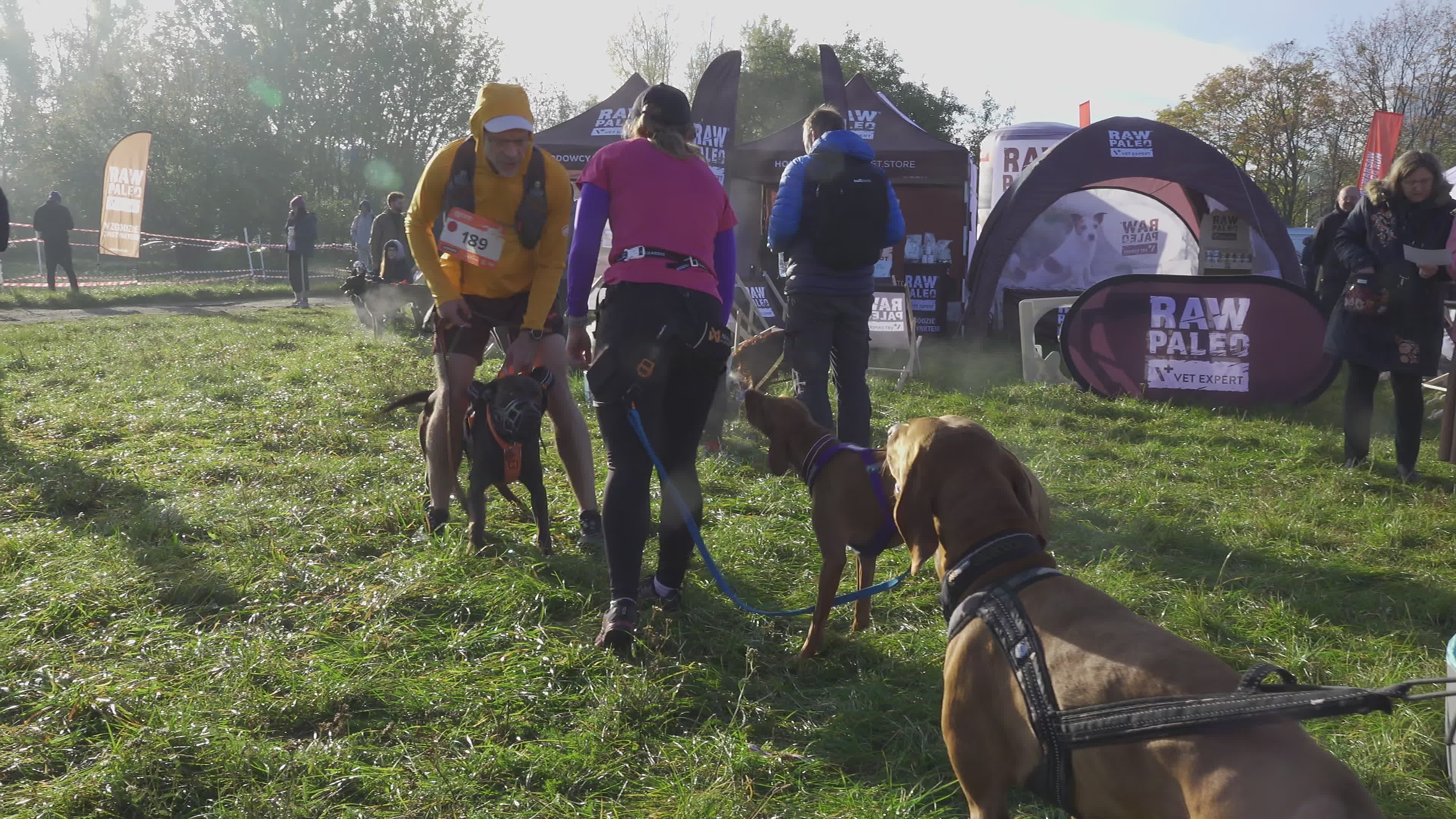 Pet owners run with their dogs in dogtrekking competition in Warsaw