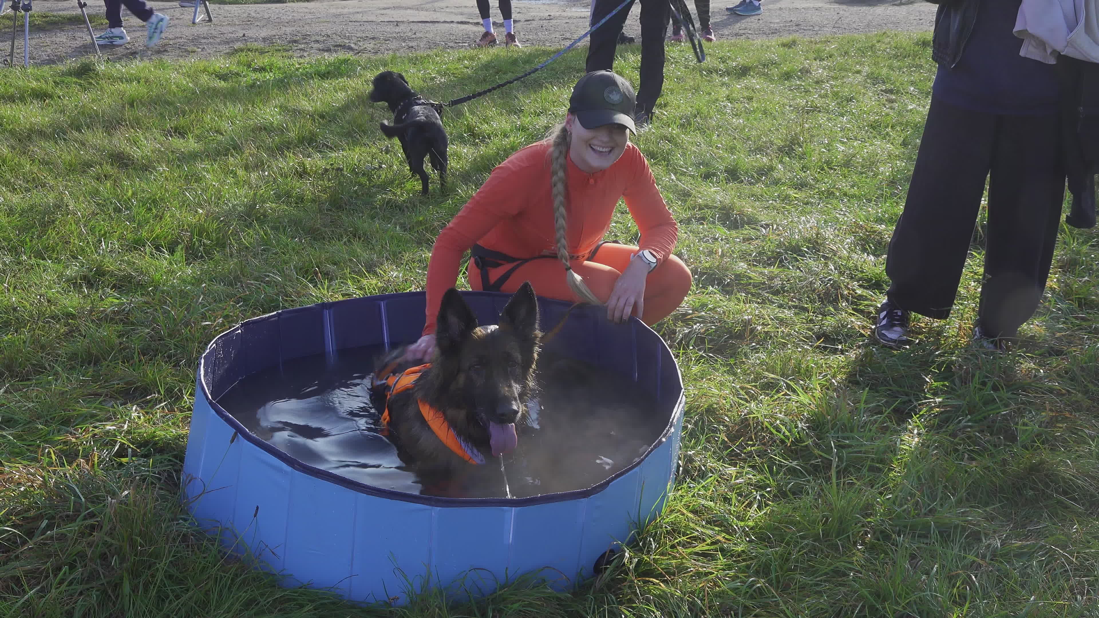 Pet owners run with their dogs in dogtrekking competition in Warsaw