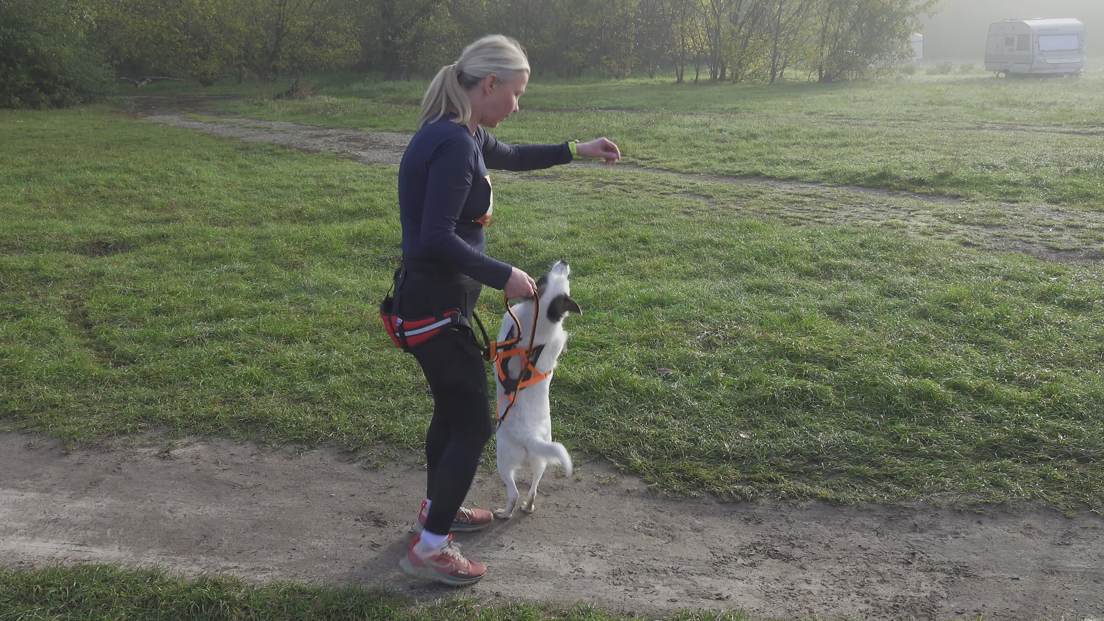 Pet owners run with their dogs in dogtrekking competition in Warsaw