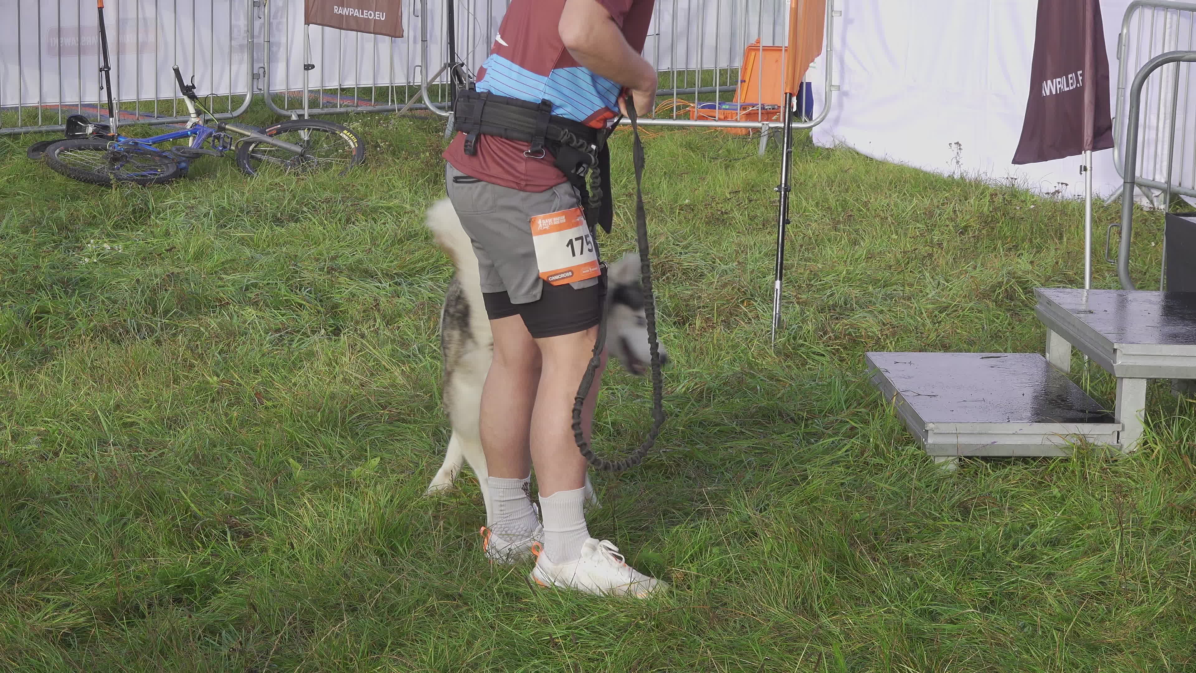 Pet owners run with their dogs in dogtrekking competition in Warsaw