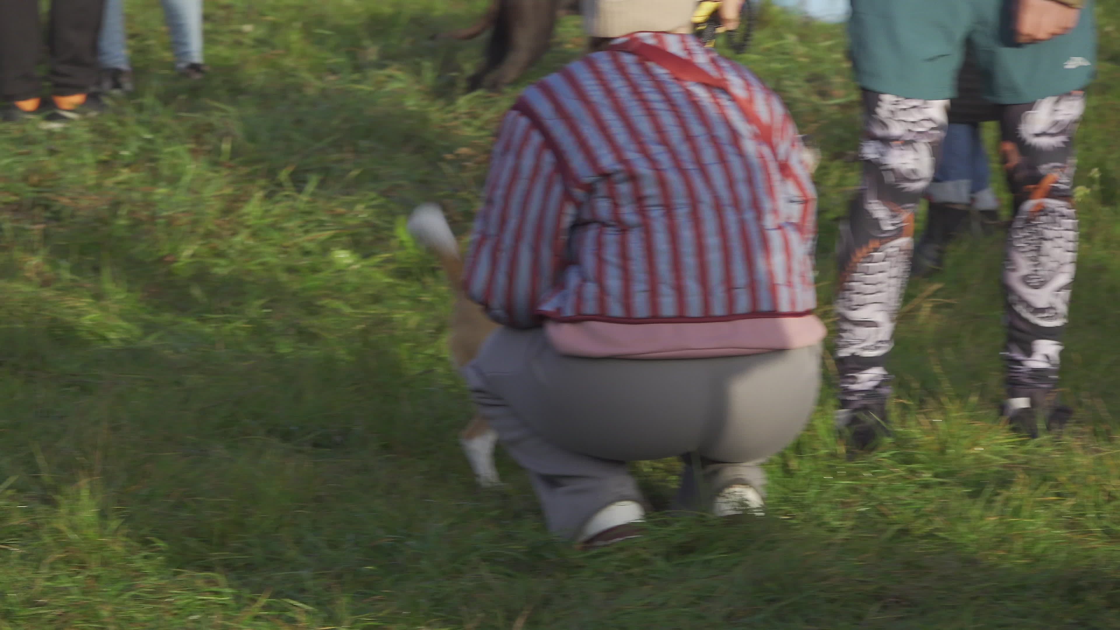 Pet owners run with their dogs in dogtrekking competition in Warsaw