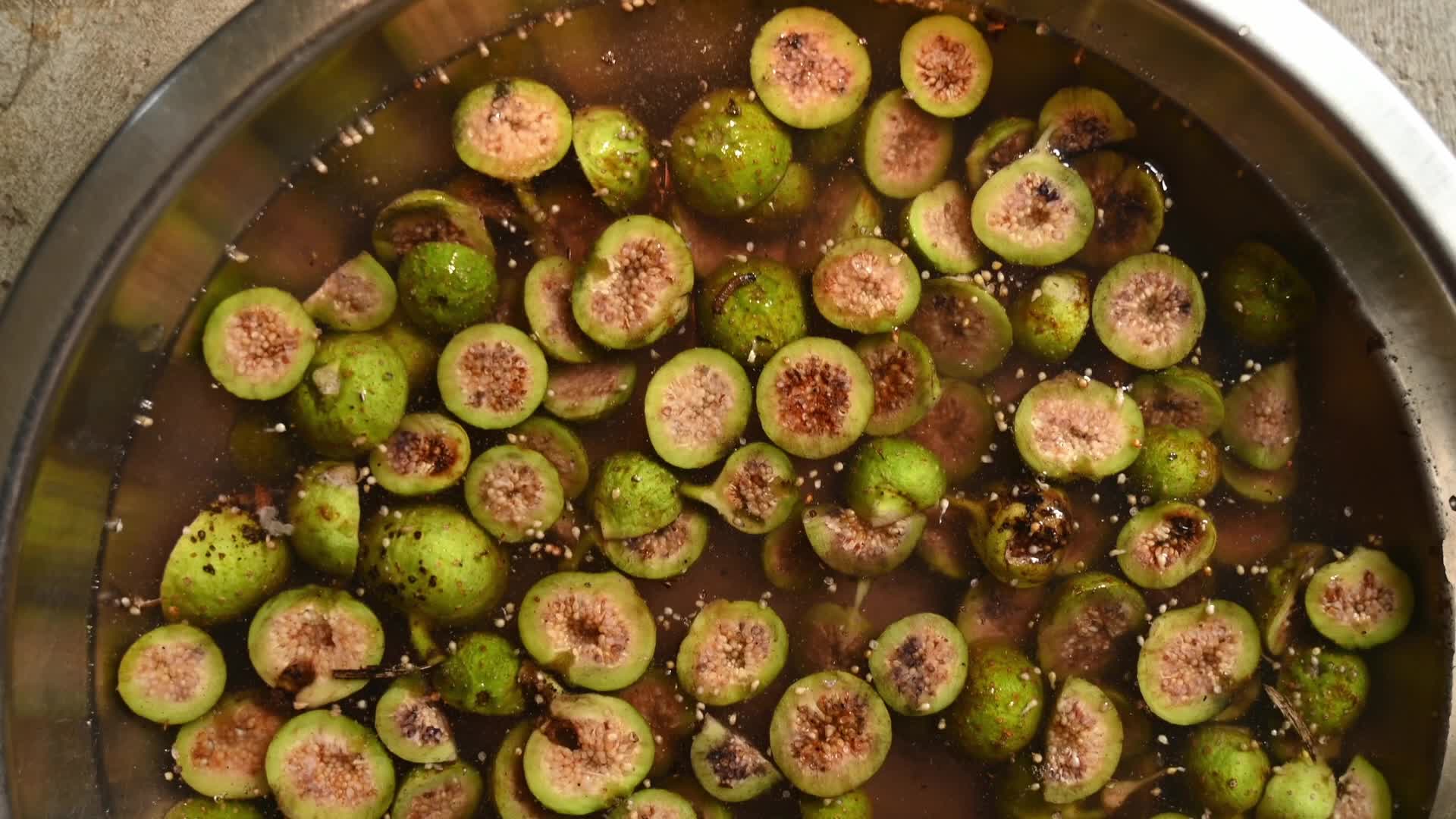 Fig - Ficus hispida