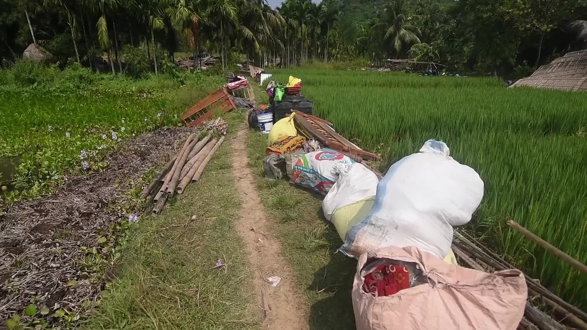 Eviction Drive at Borpani Reserved Forest in Assam , India