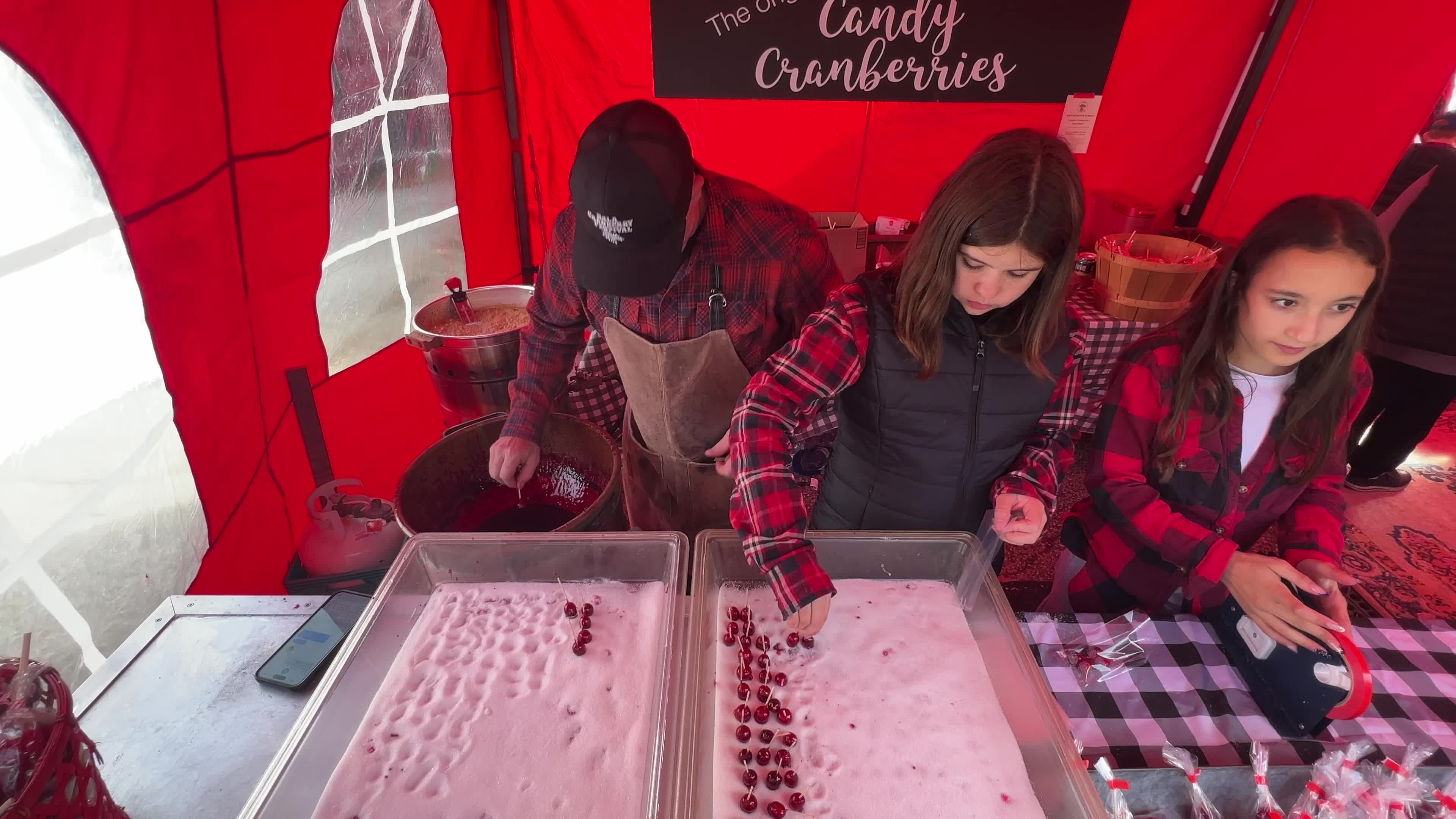Bala Cranberry Festival