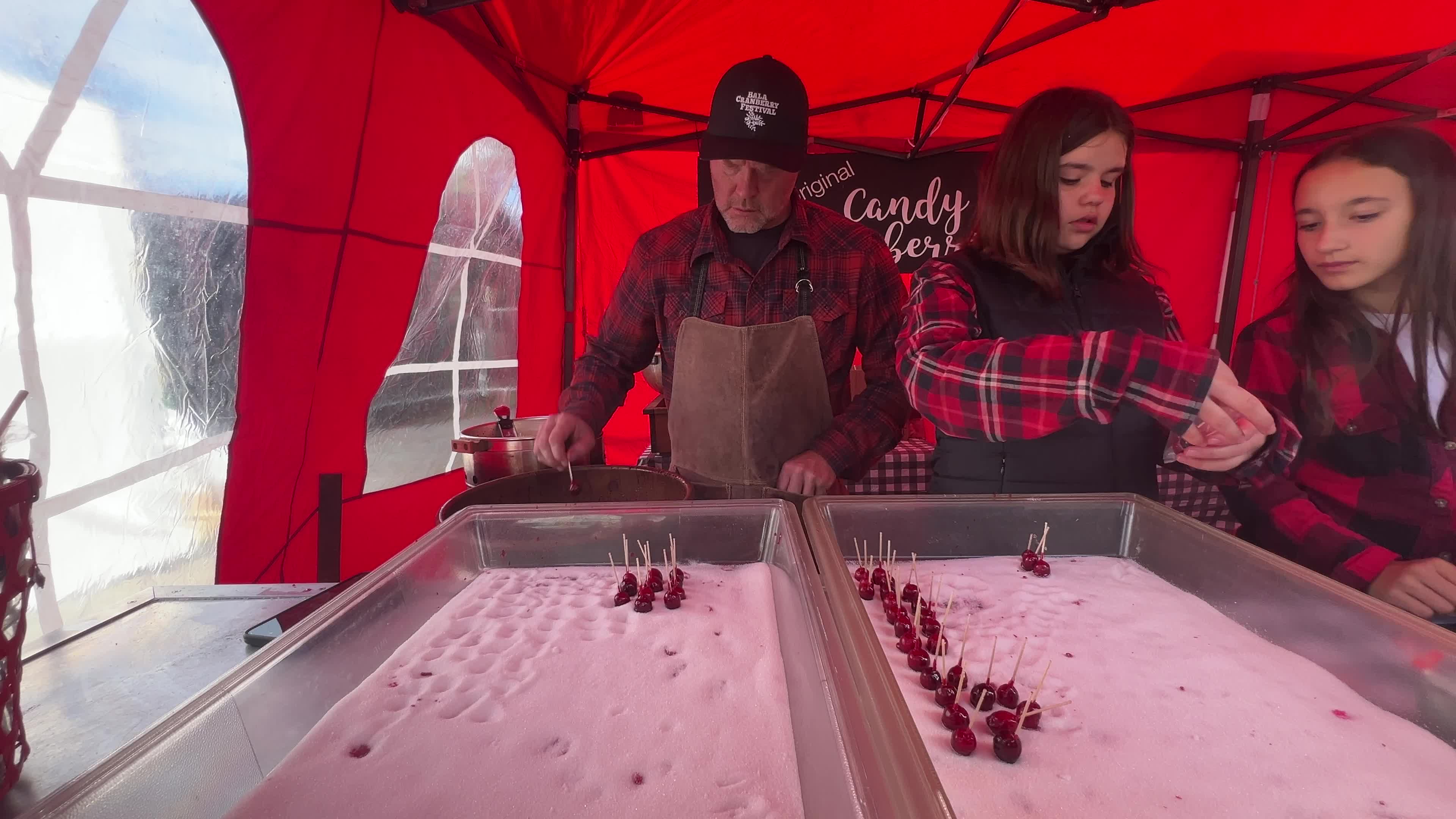 Bala Cranberry Festival