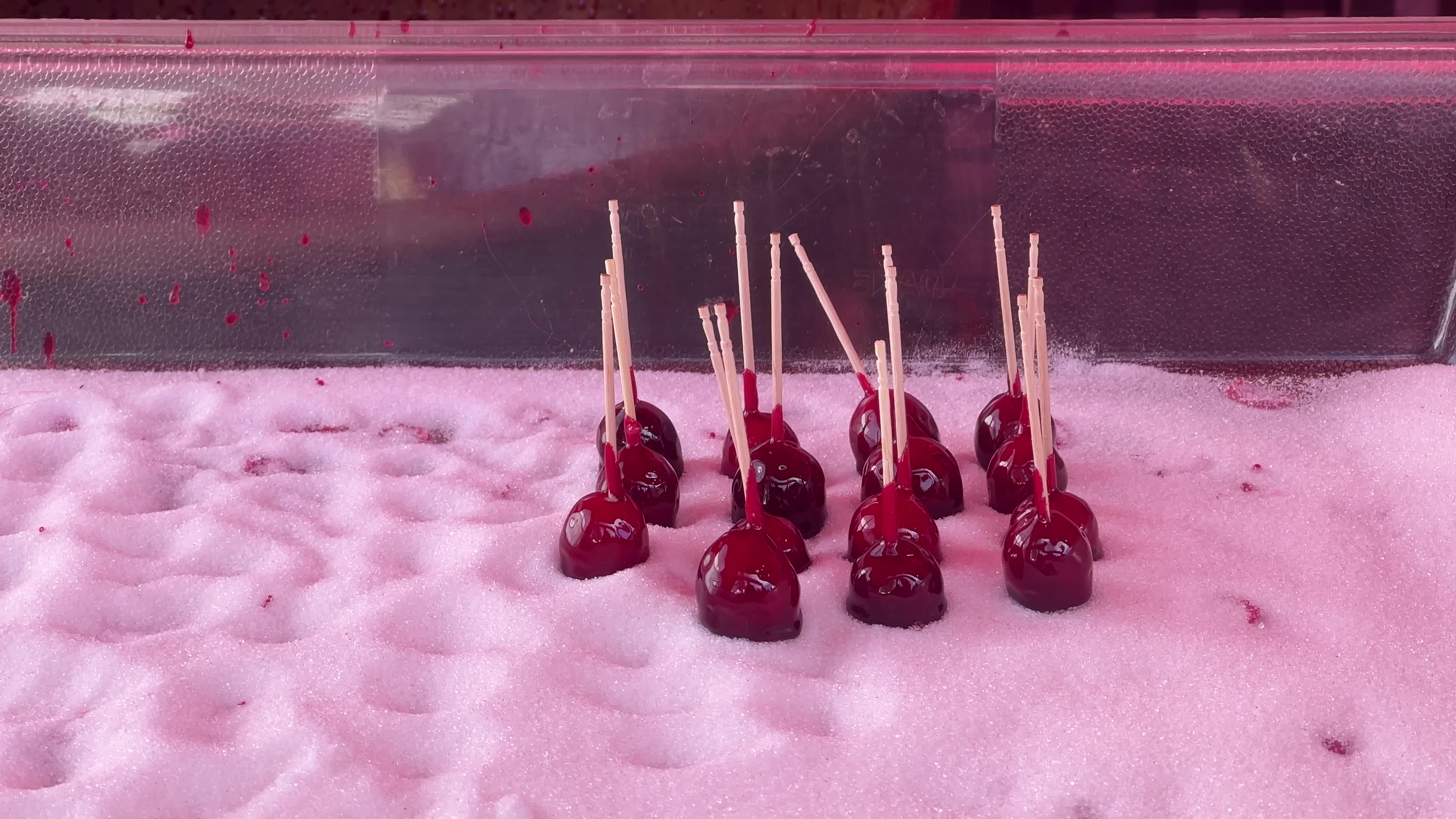 Bala Cranberry Festival