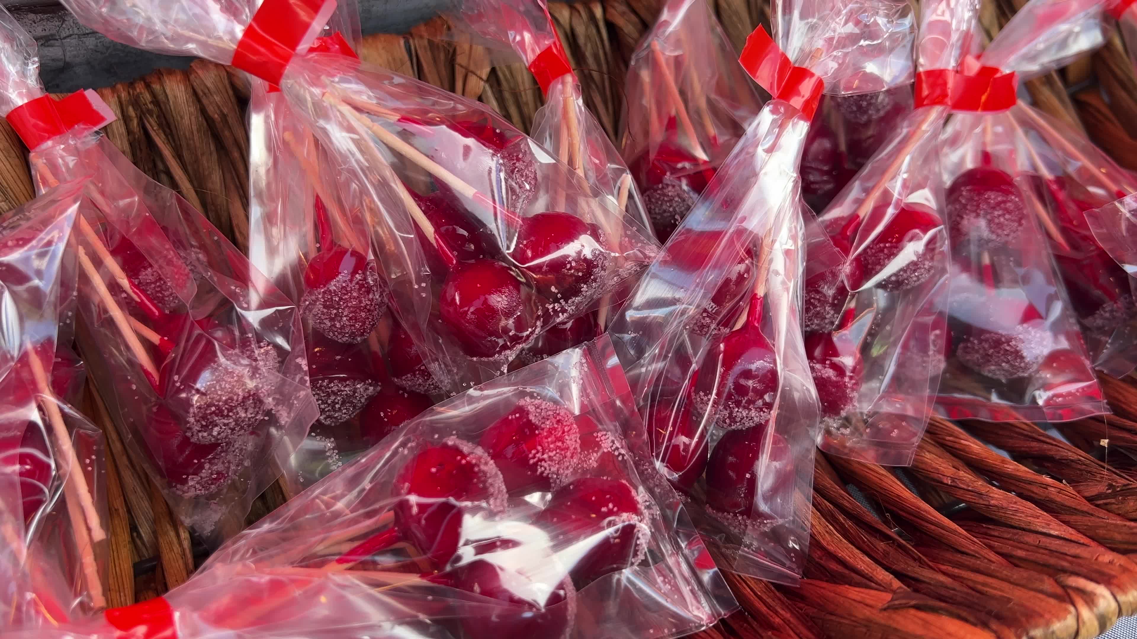 Bala Cranberry Festival
