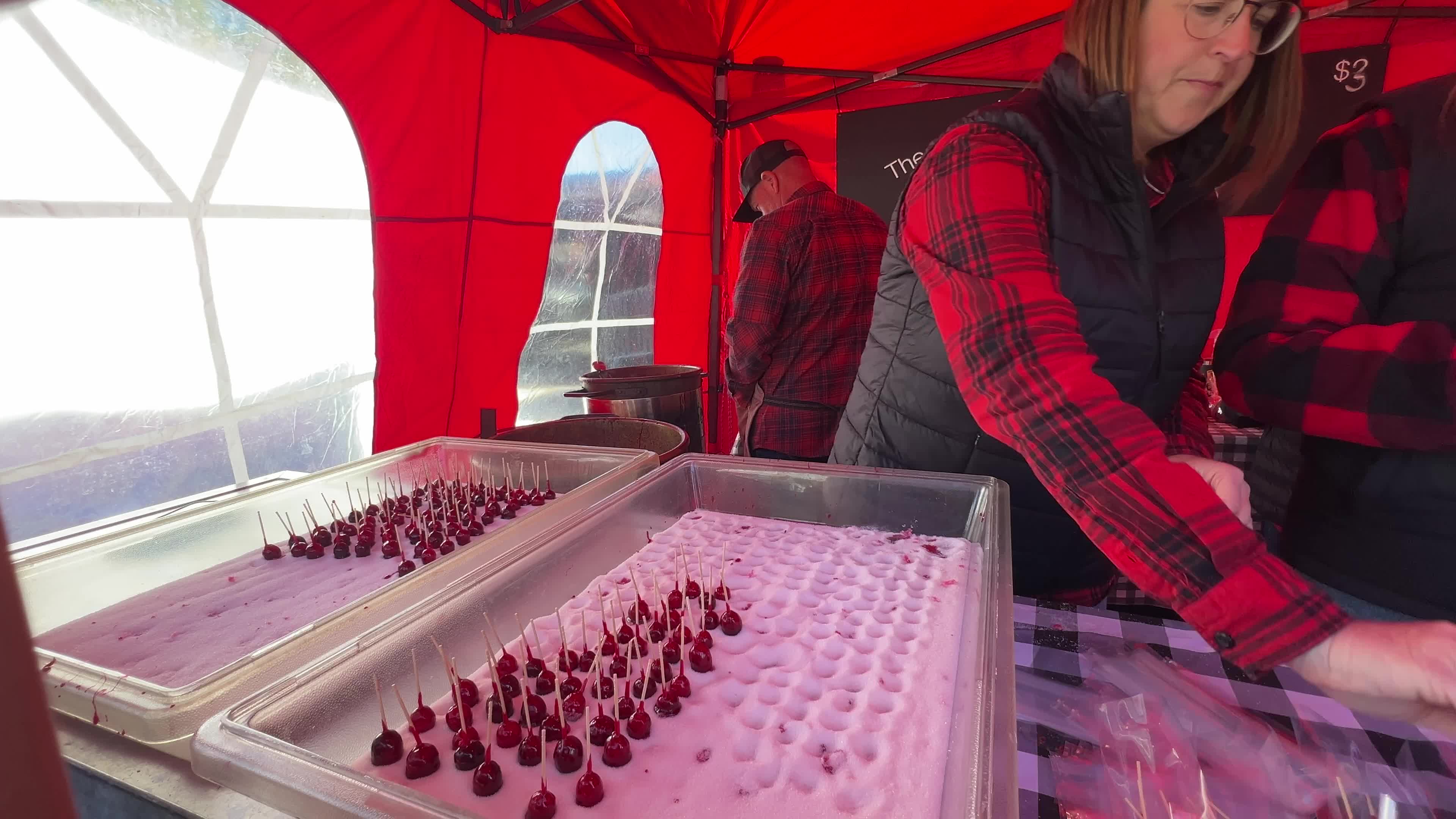 Bala Cranberry Festival