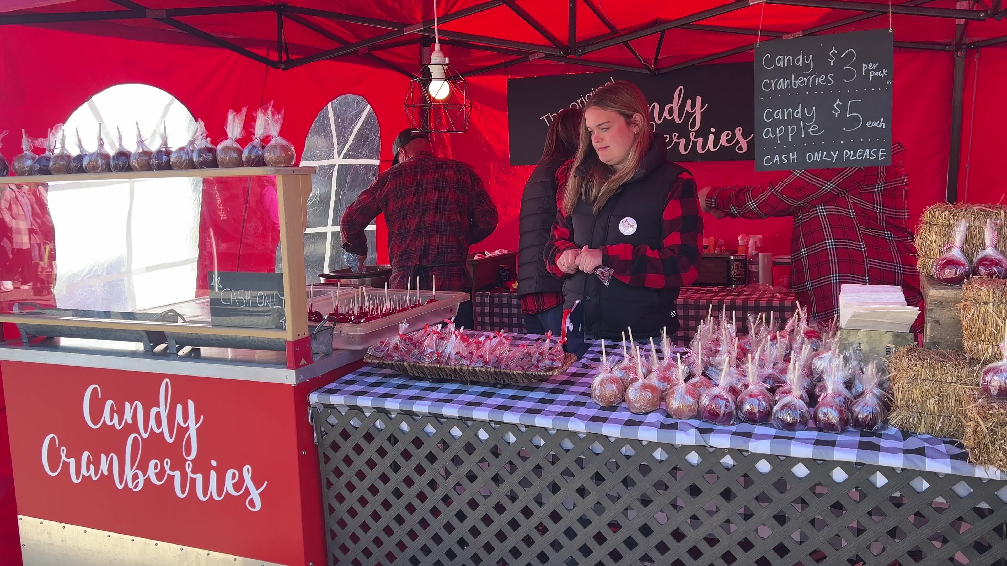 Bala Cranberry Festival