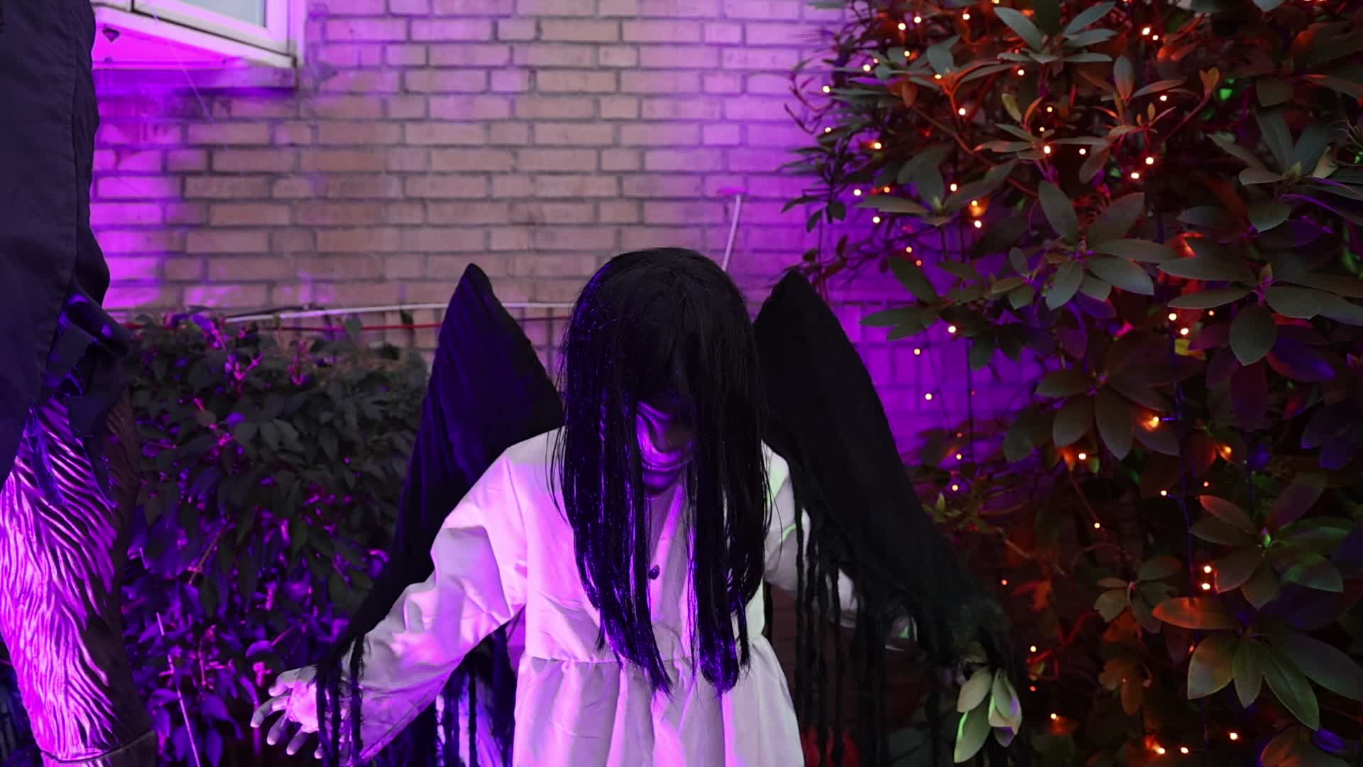 Brooklyn Halloween Houses