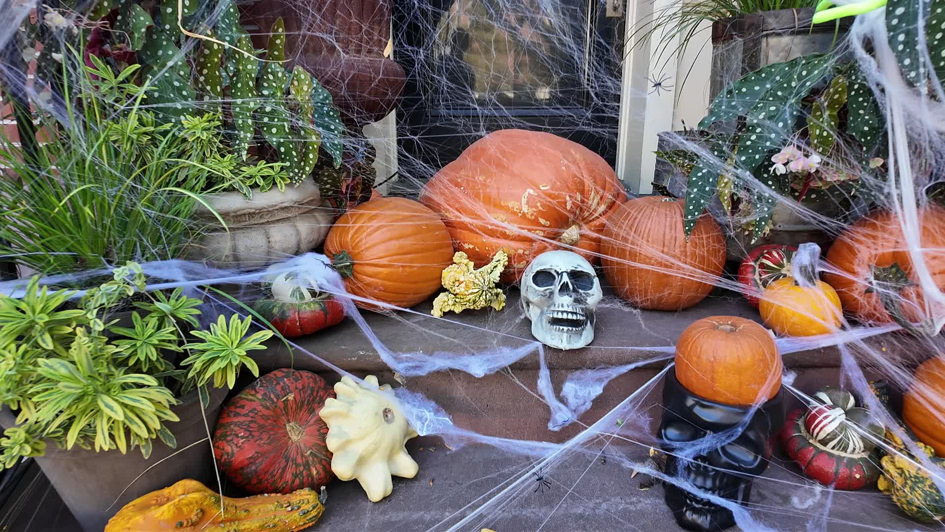 New York City Halloween Houses