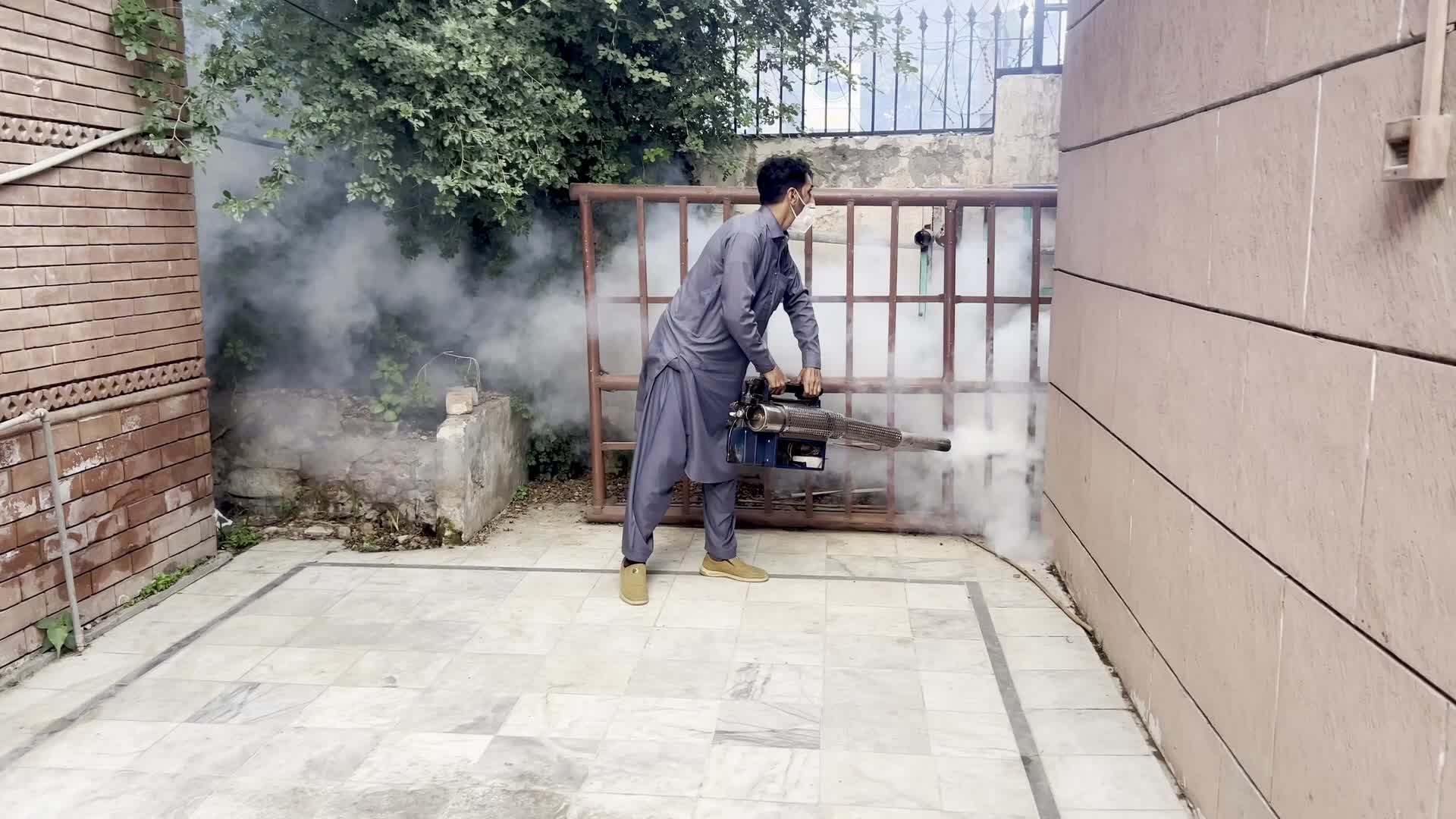 Dengue Cases Reach 4,856 in Pakistan’s Khyber Pakhtunkhwa Province