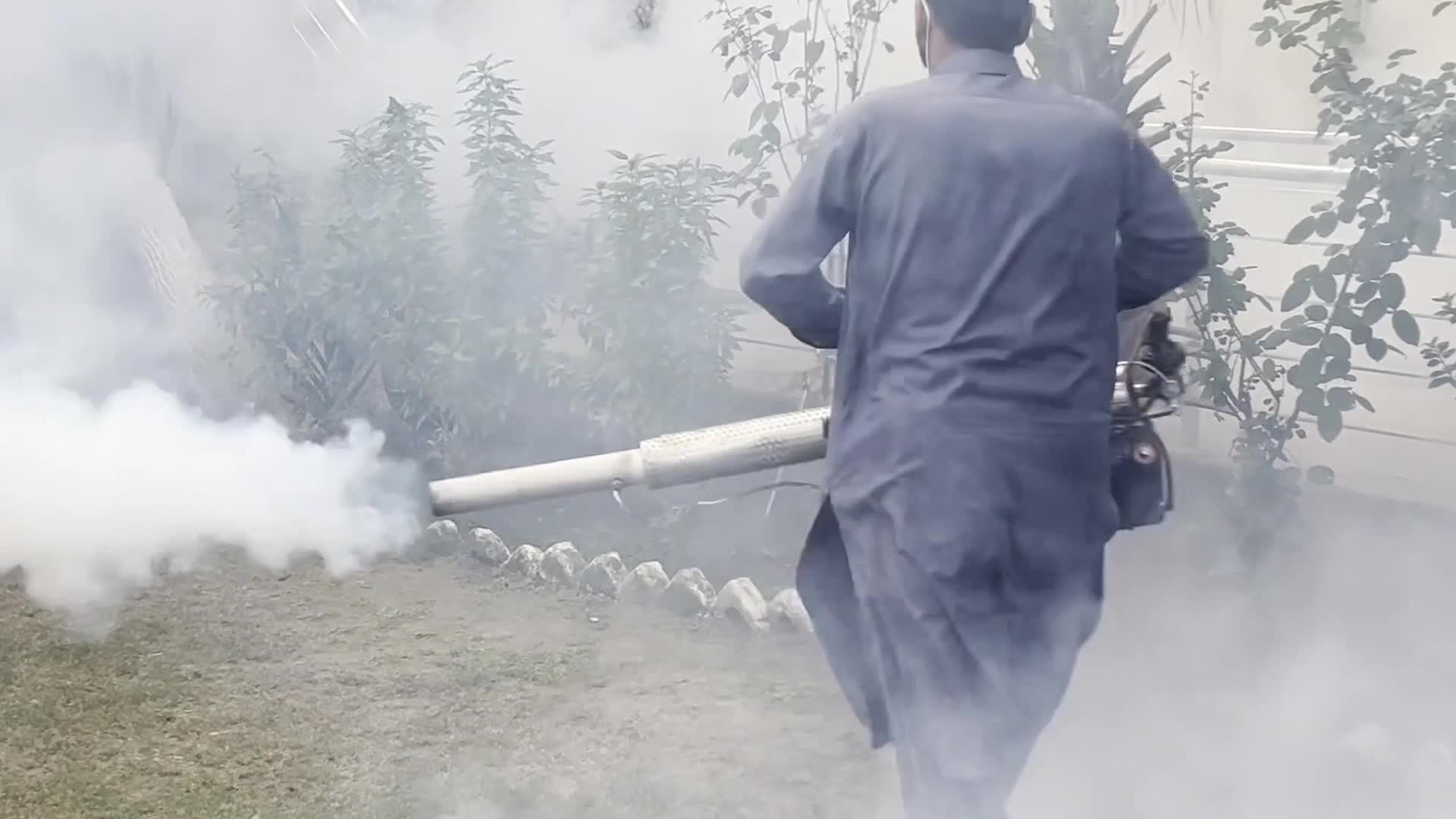 Dengue Cases Reach 4,856 in Pakistan’s Khyber Pakhtunkhwa Province