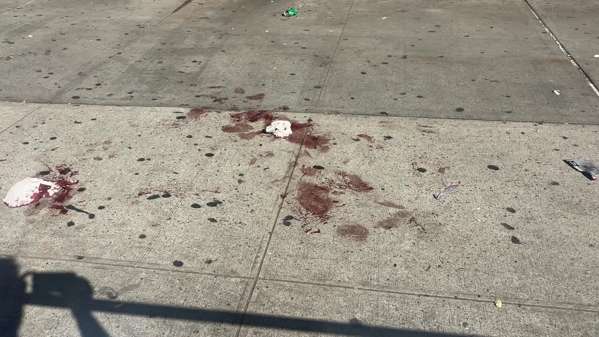 One Person Killed And Another Injured In Stabbing At 75 West Kingsbridge Road In New York City