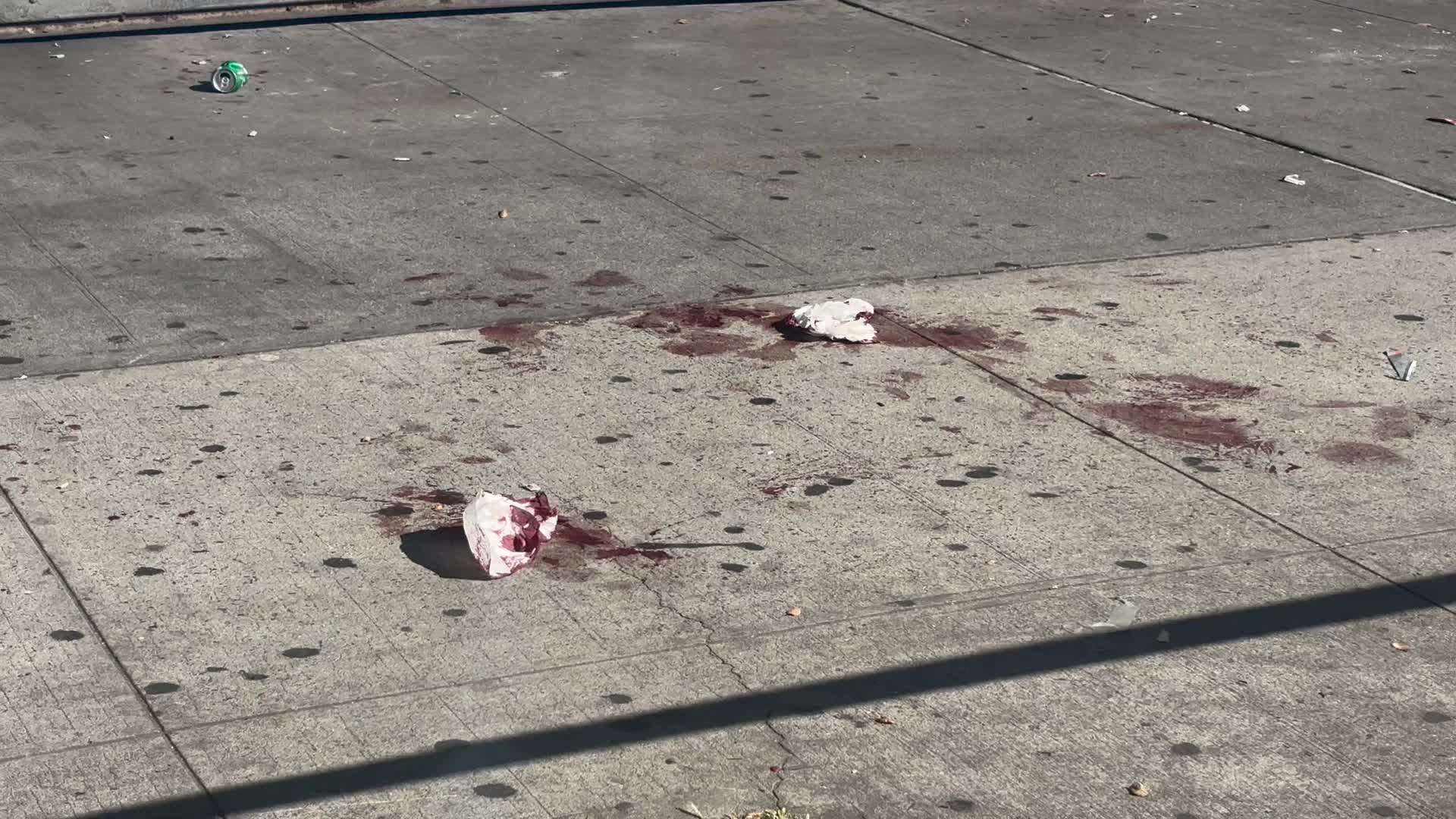 One Person Killed And Another Injured In Stabbing At 75 West Kingsbridge Road In New York City
