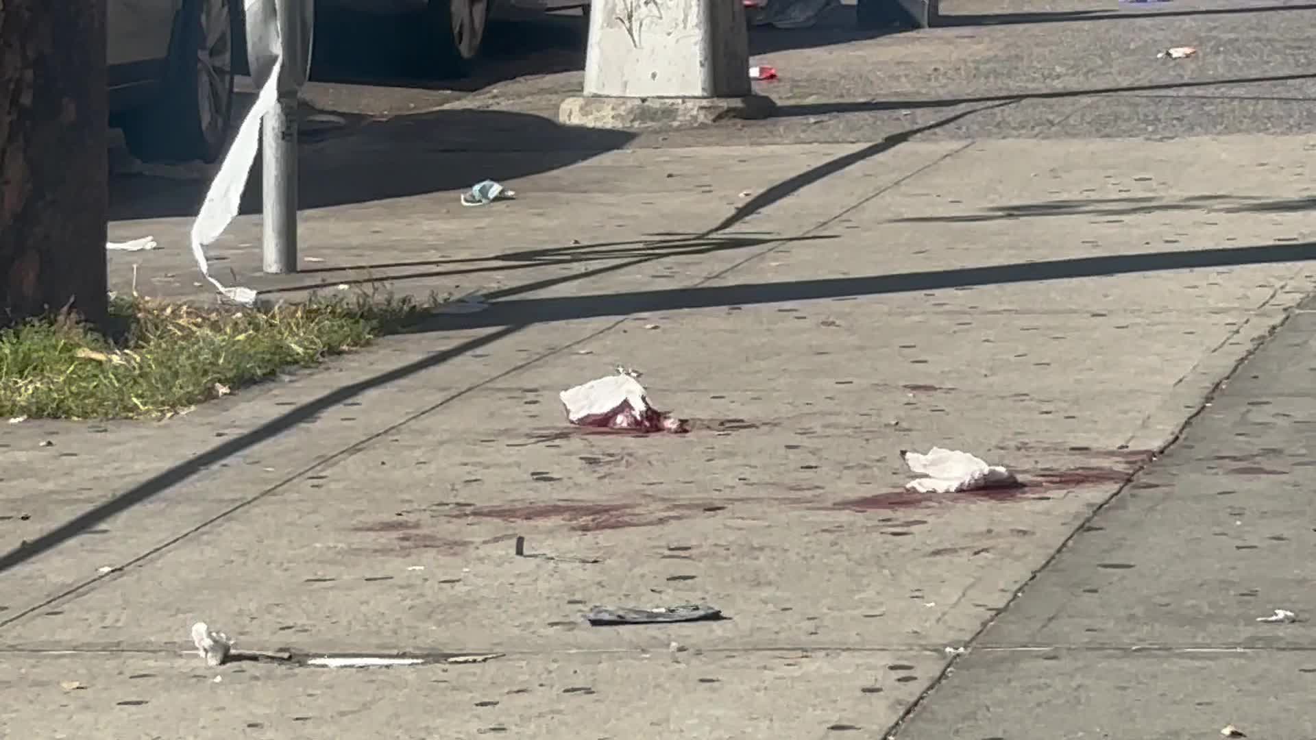One Person Killed And Another Injured In Stabbing At 75 West Kingsbridge Road In New York City