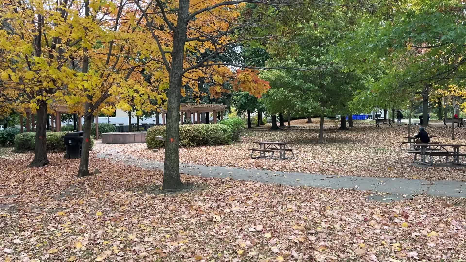 Autumn Season in Toronto