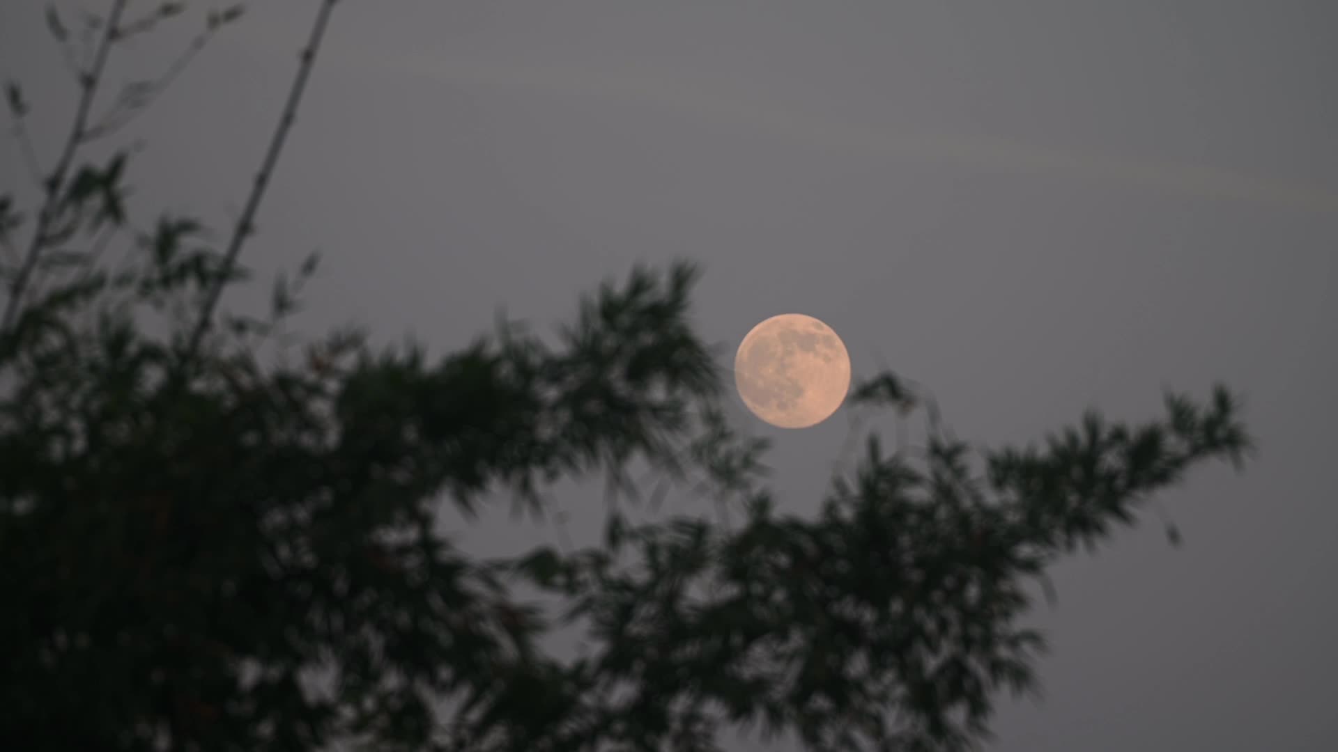 Hunter's Moon - October Full Moon - 2026 - 10/25/2026