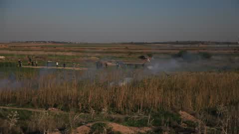 Palestine Israel Conflict