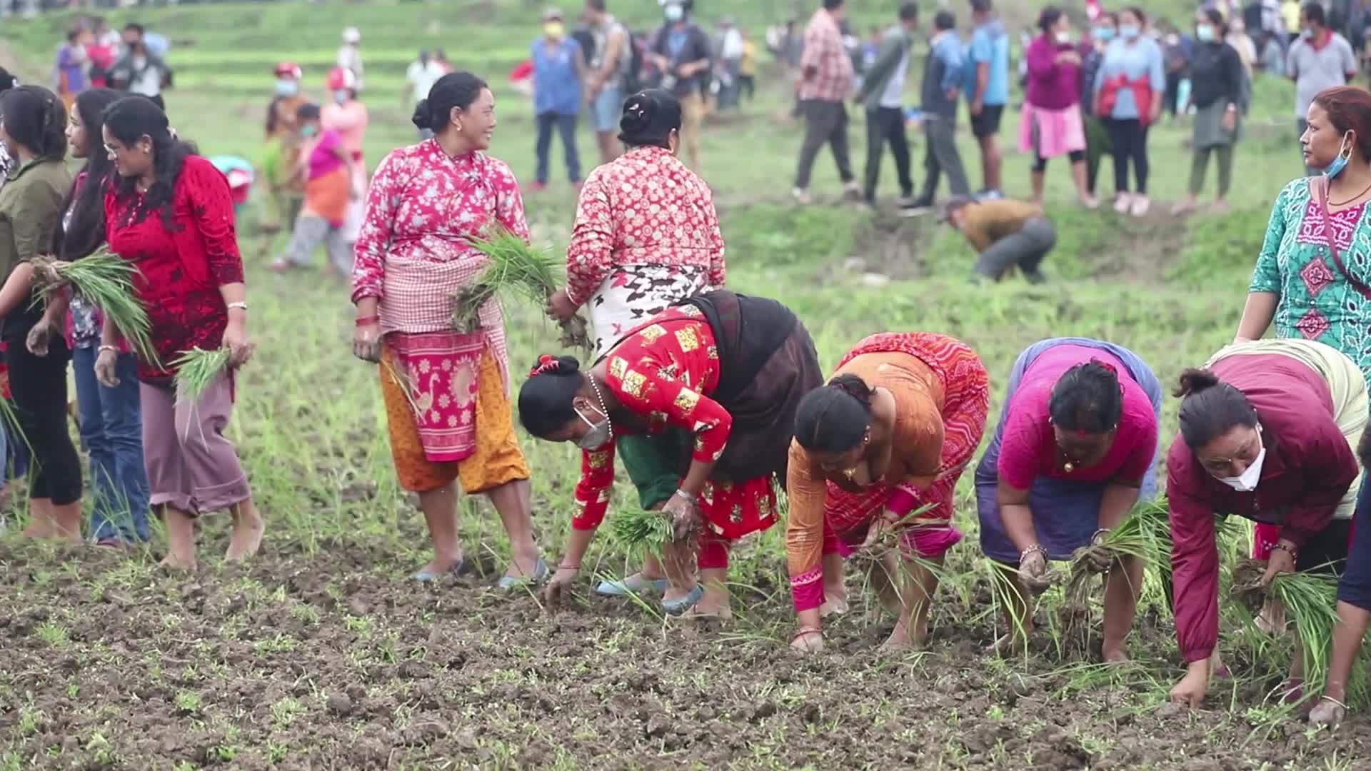 Local farmers carry out anti government protest for their land in Nepal