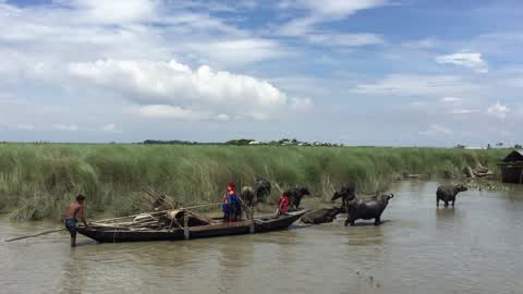 Flood in Gaibandha, Bangladesh