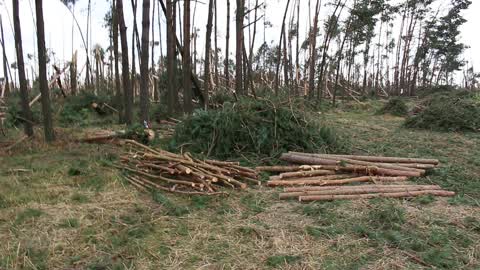 Cleaning after storms in Przyrowa