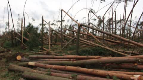 Cleaning after storms in Przyrowa