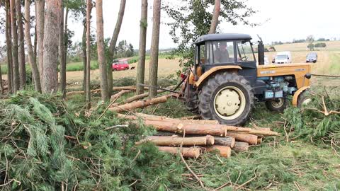 Cleaning after storms in Przyrowa
