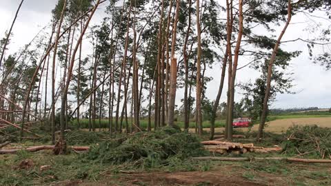 Cleaning after storms in Przyrowa